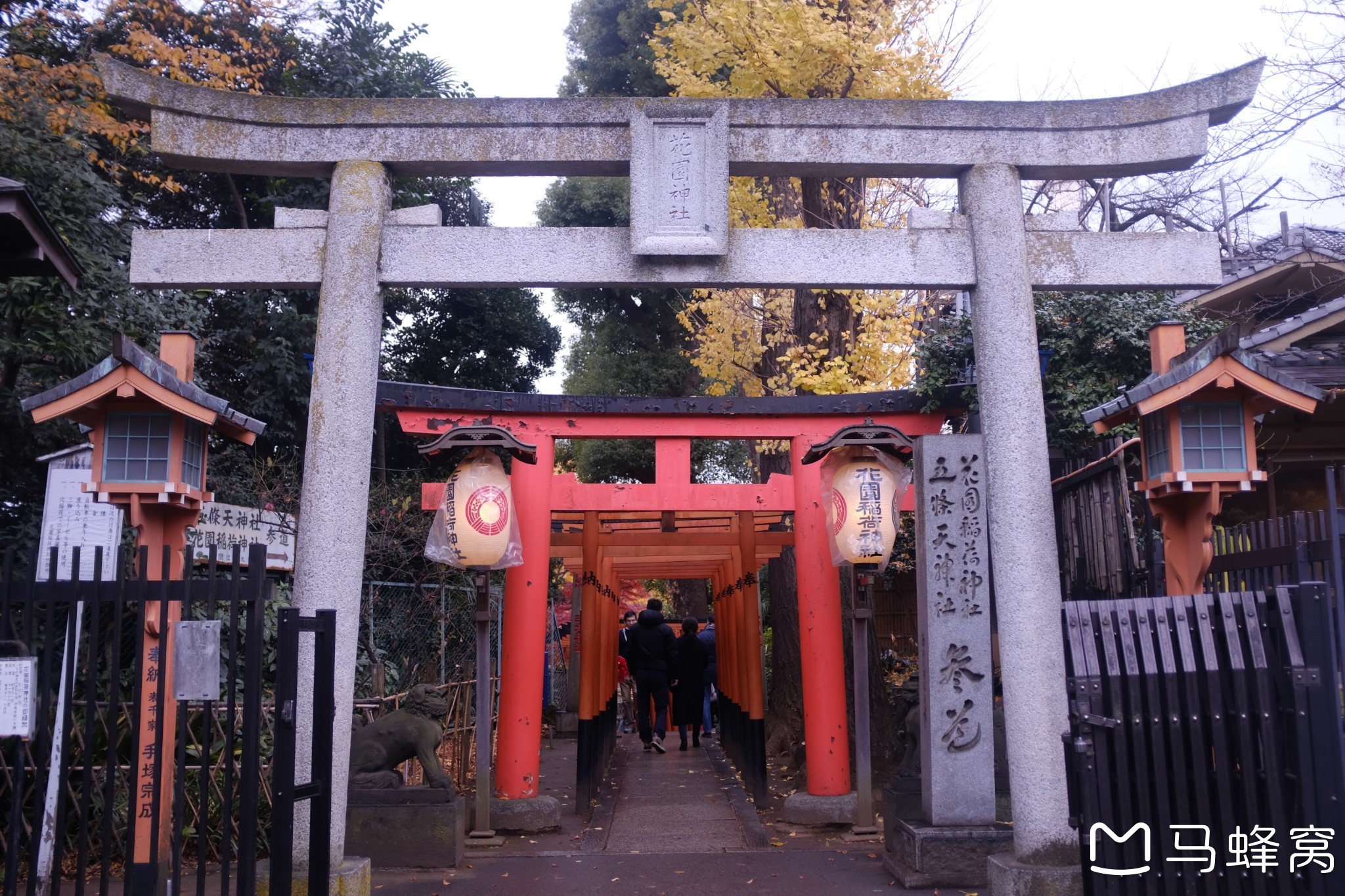 東京自助遊攻略