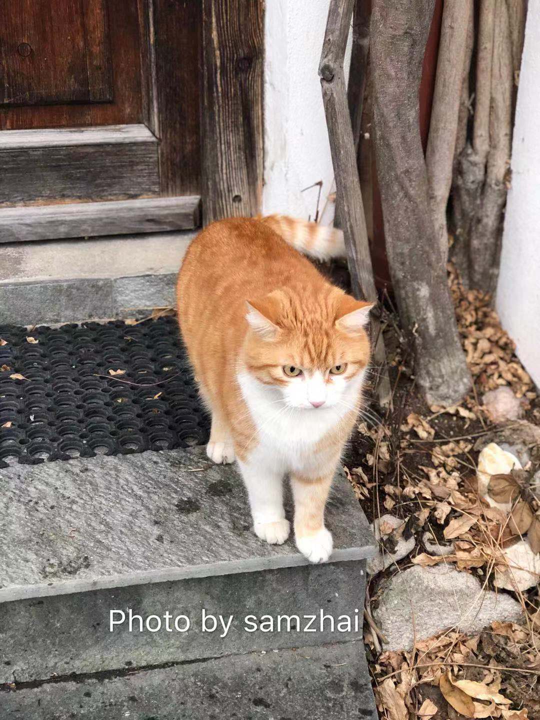 奧地利自助遊攻略