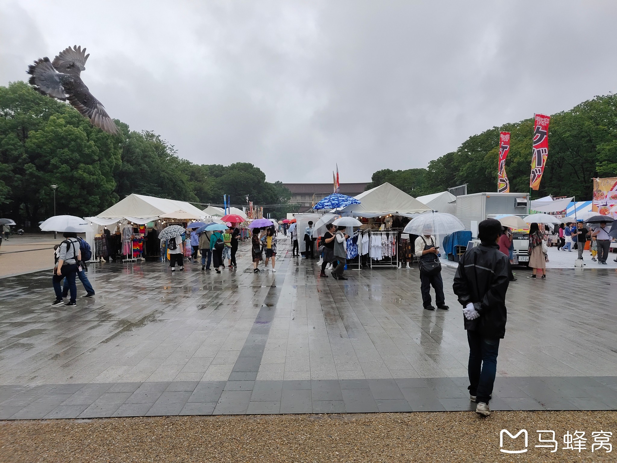 東京自助遊攻略