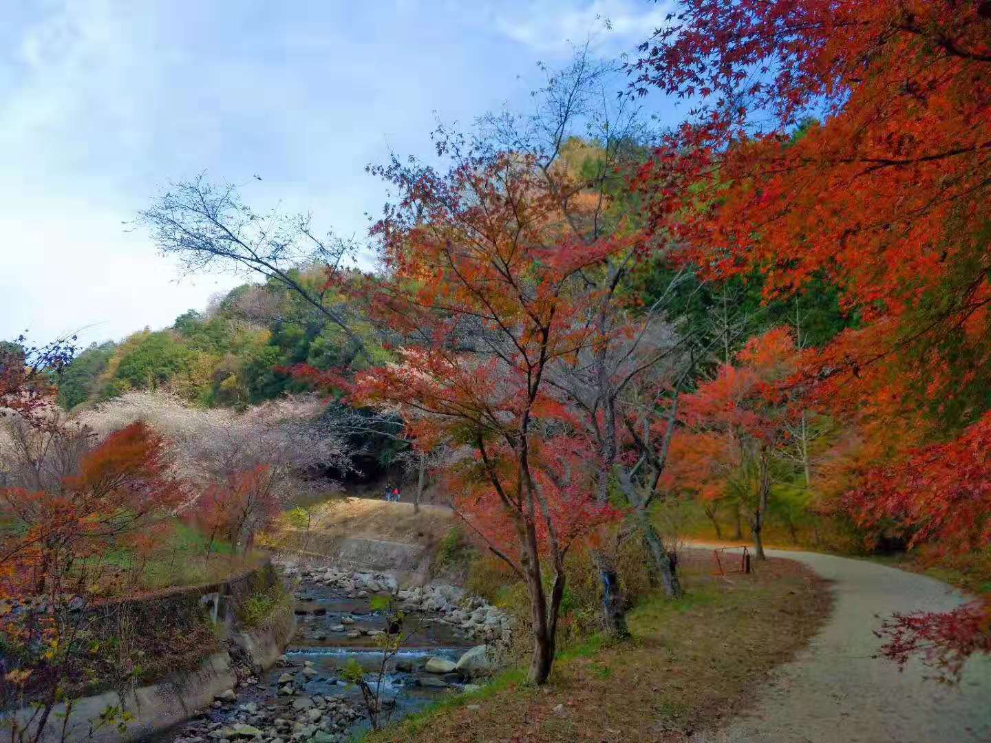 名古屋自助遊攻略