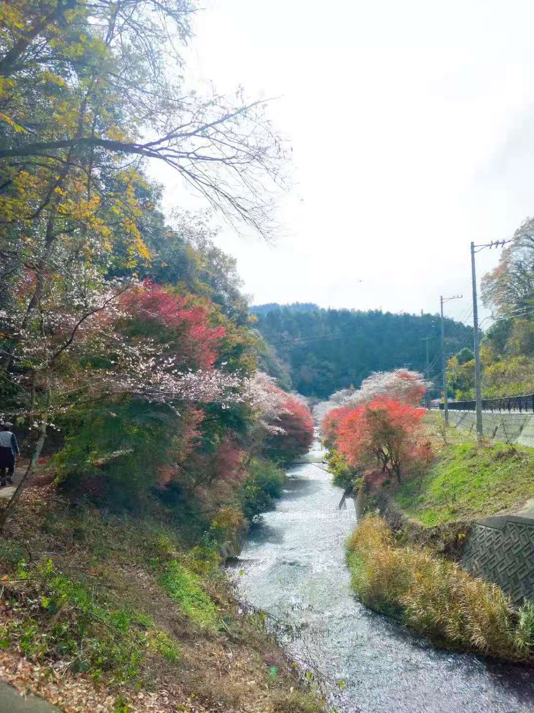 名古屋自助遊攻略