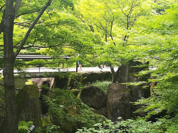 名古屋自助遊攻略