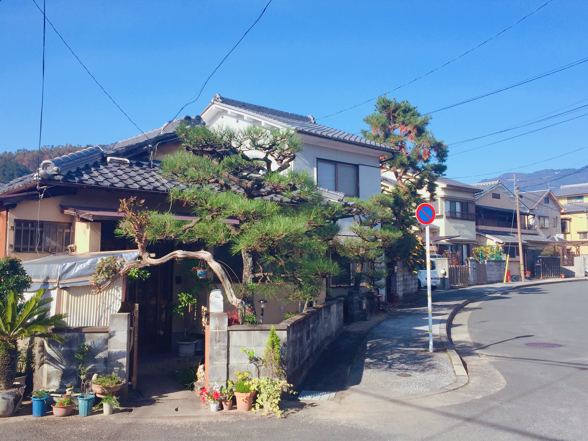 京都自助遊攻略