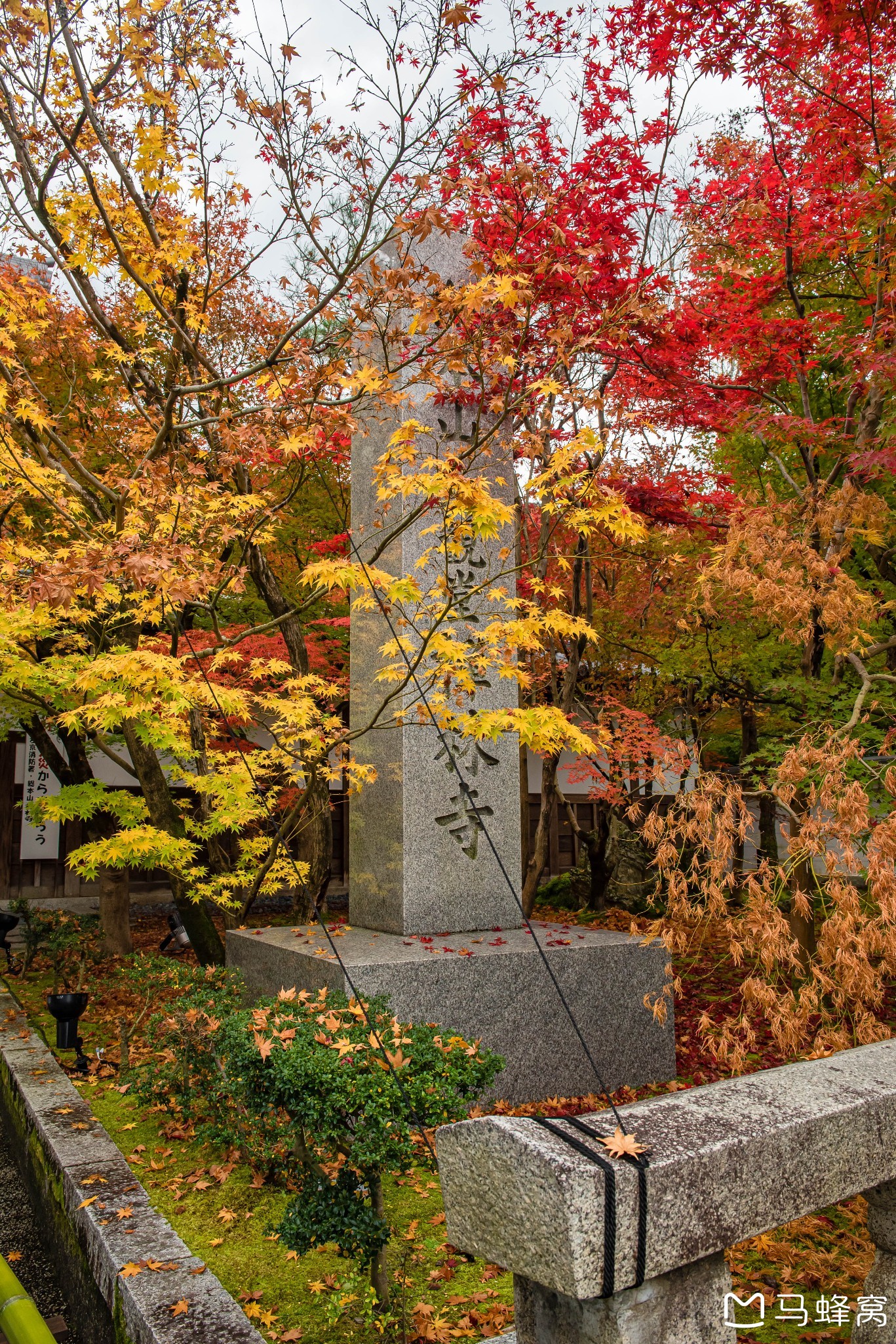 京都自助遊攻略