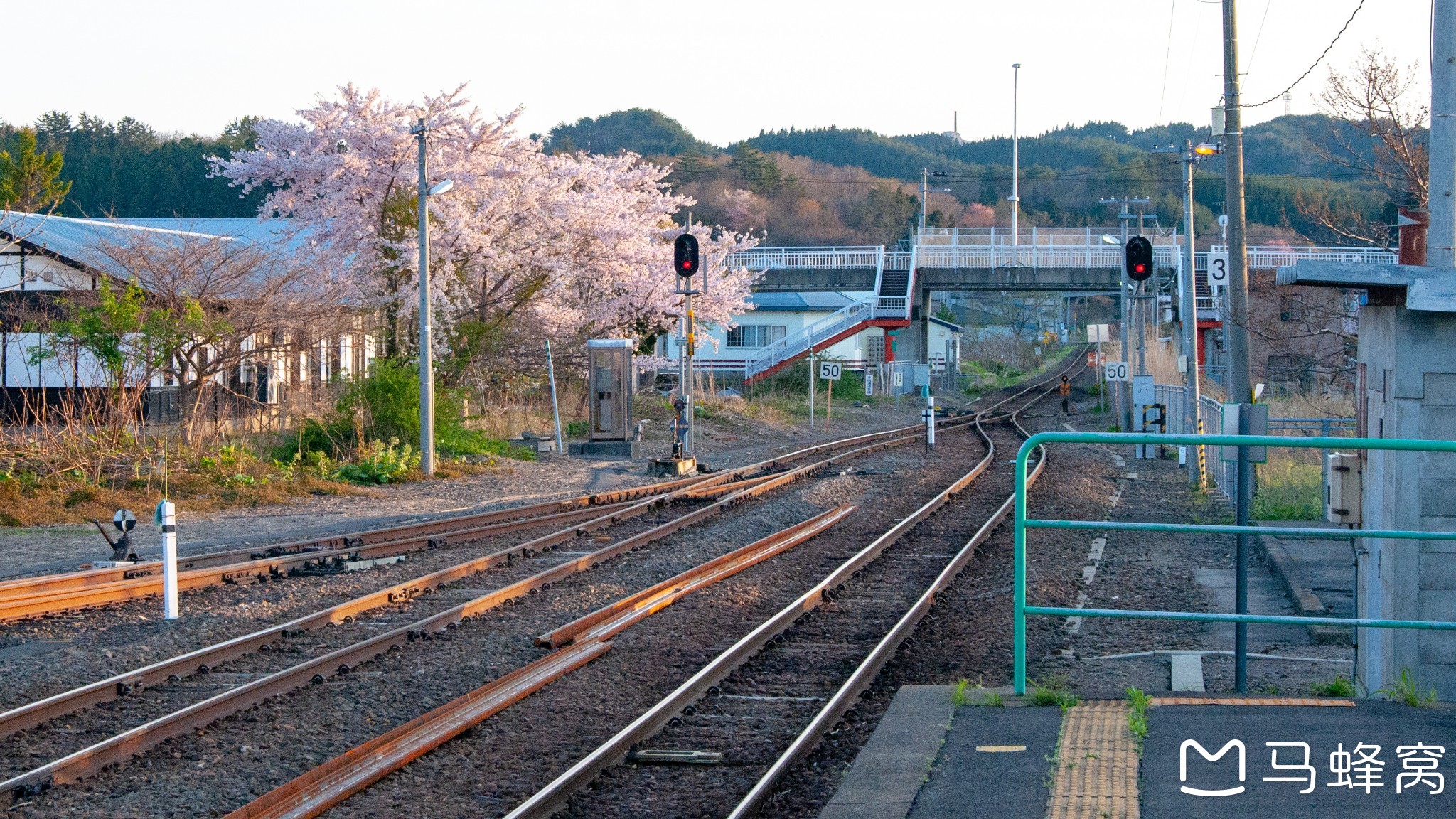 日本自助遊攻略