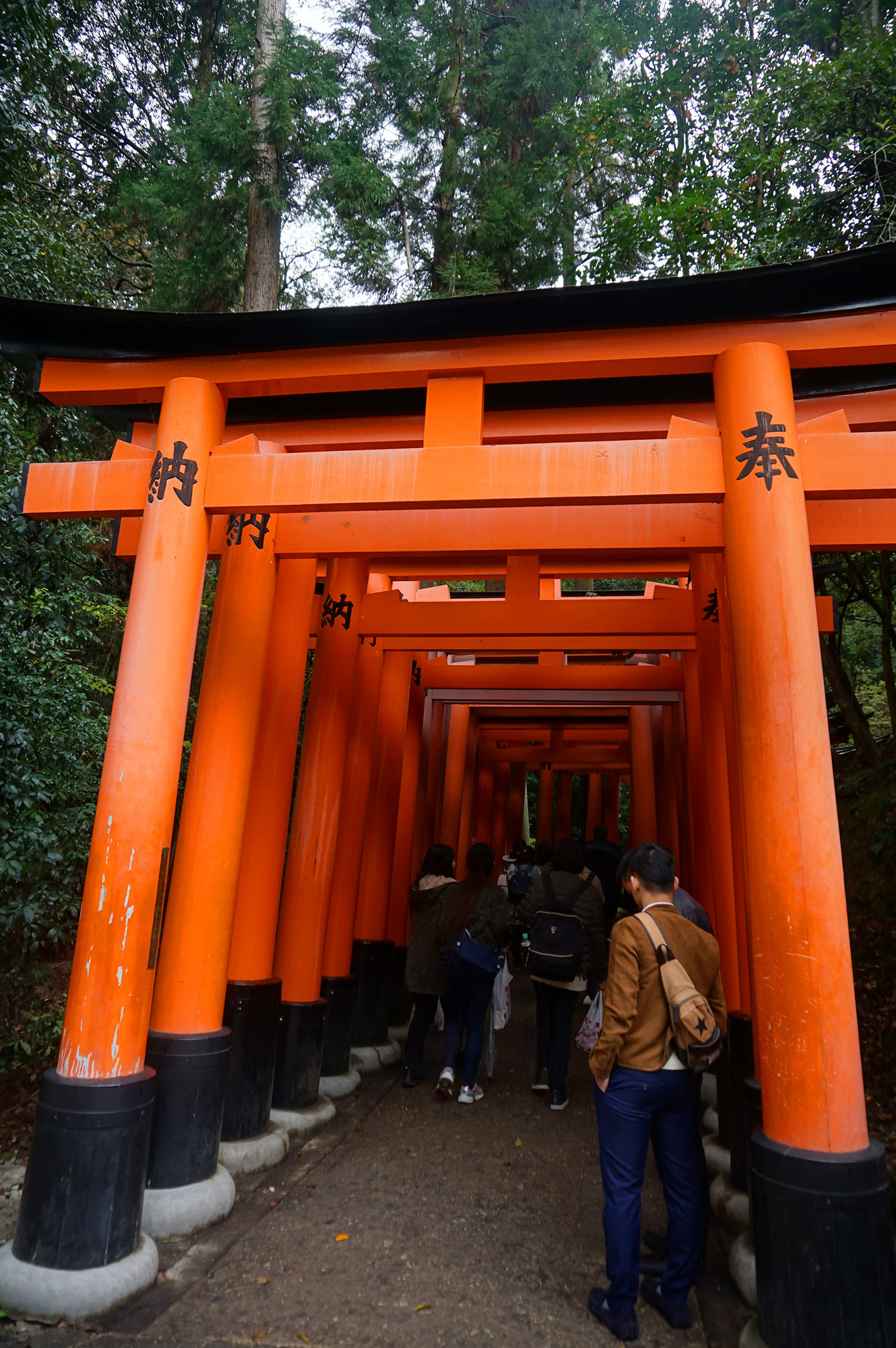 京都自助遊攻略