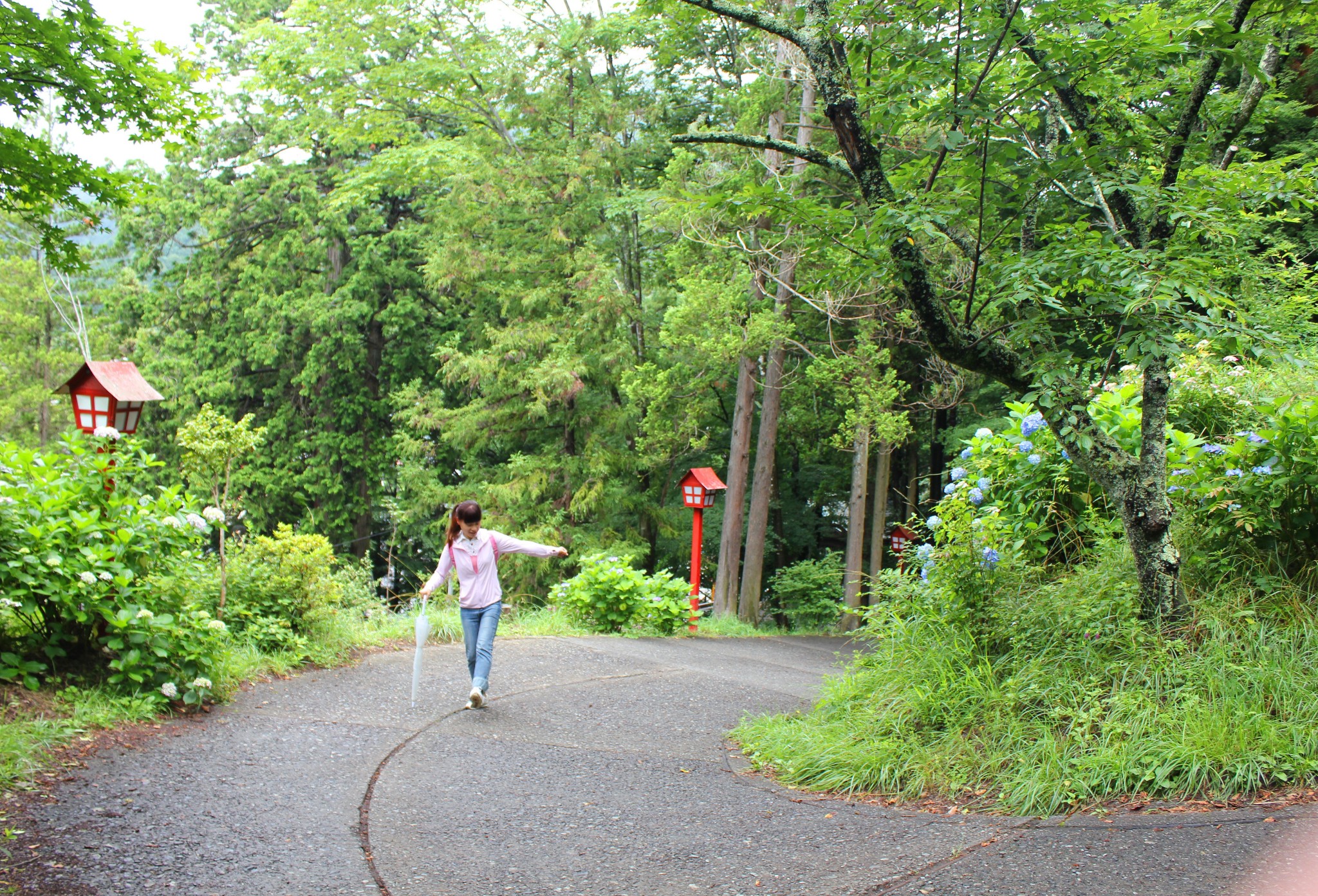 東京自助遊攻略