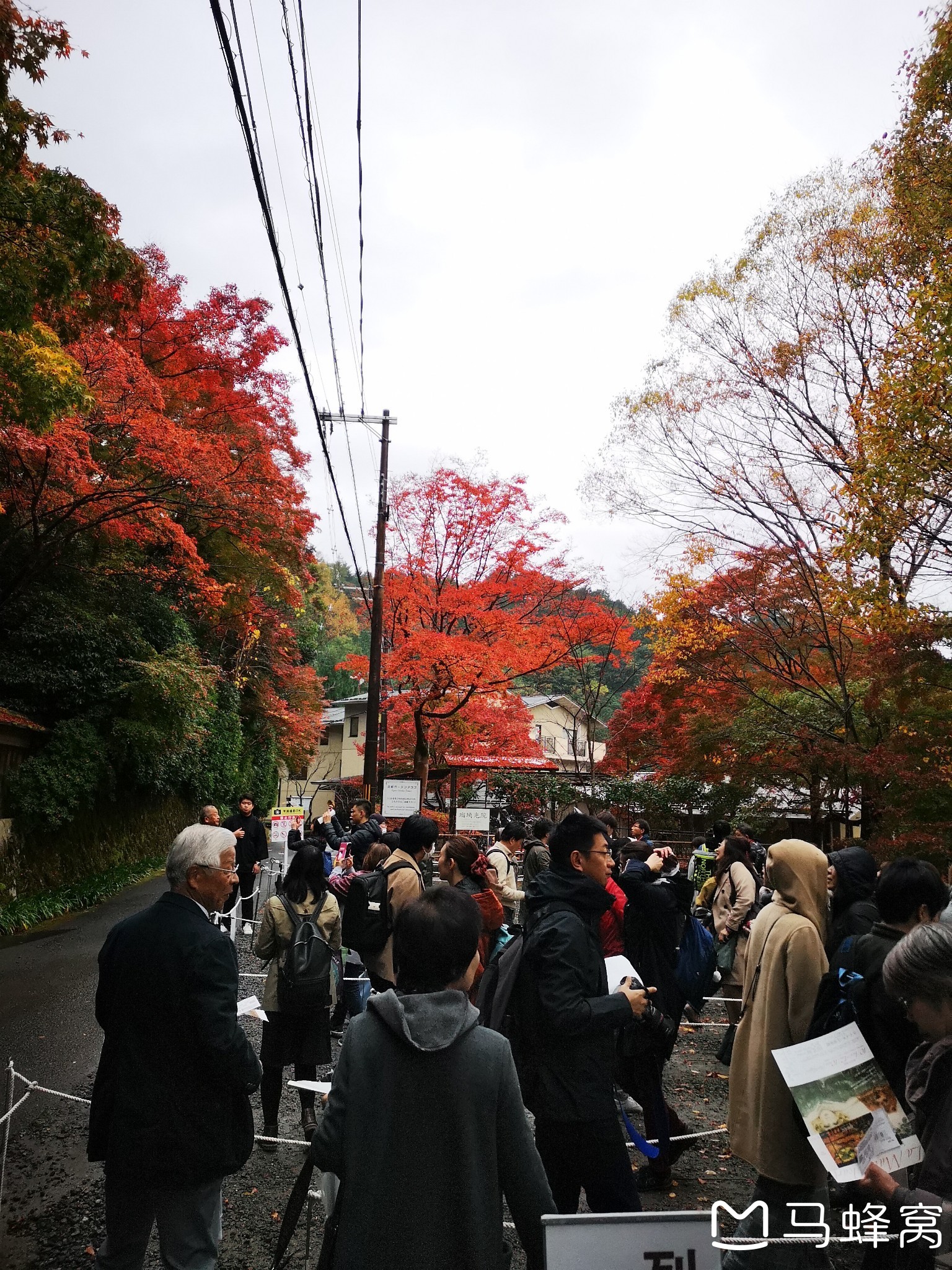 京都自助遊攻略