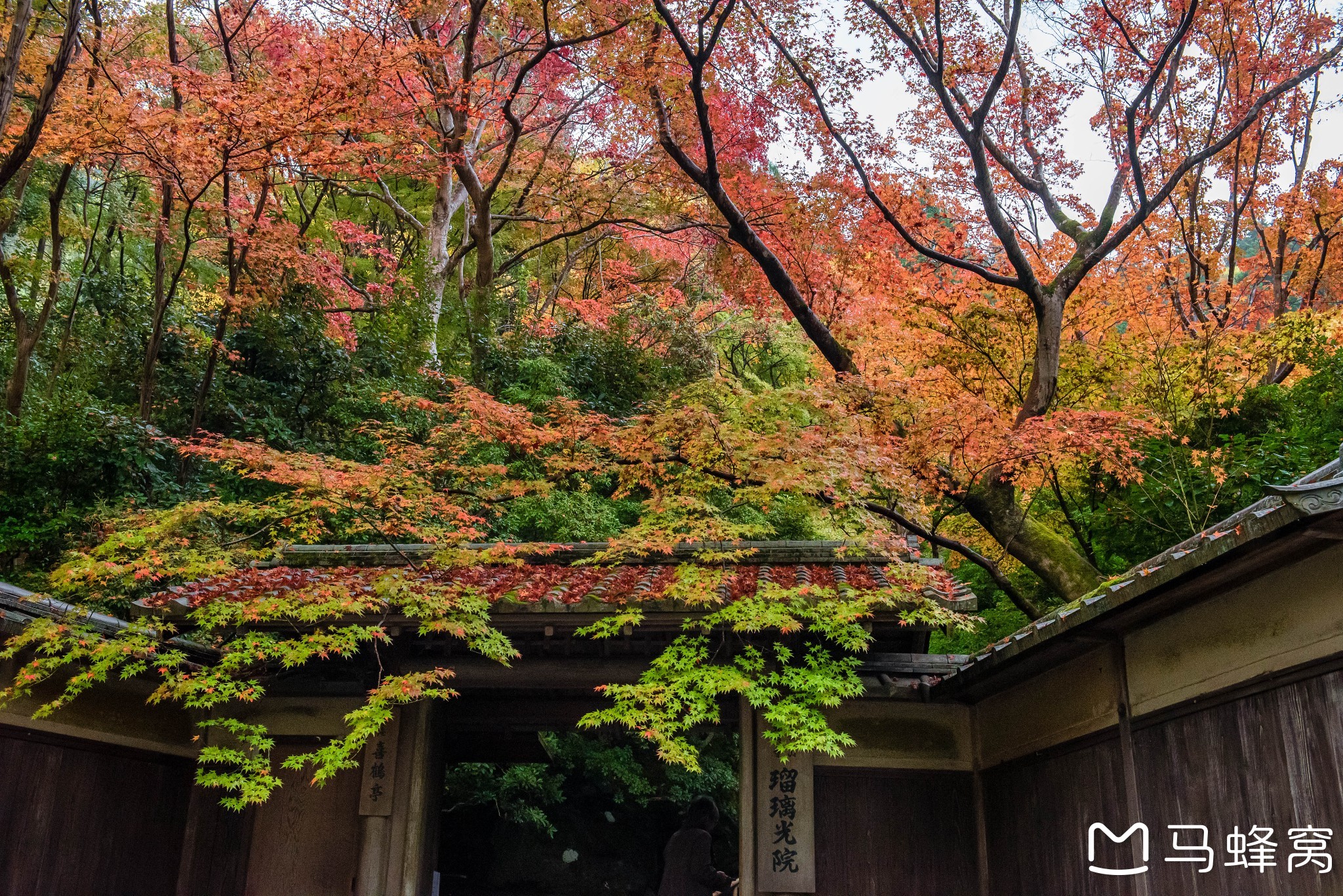 京都自助遊攻略