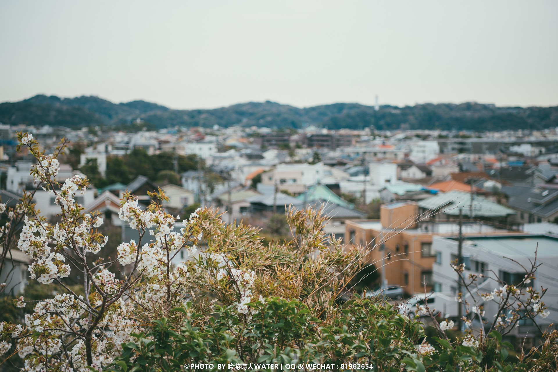 東京自助遊攻略