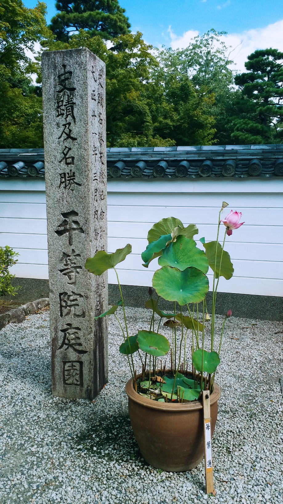 京都自助遊攻略