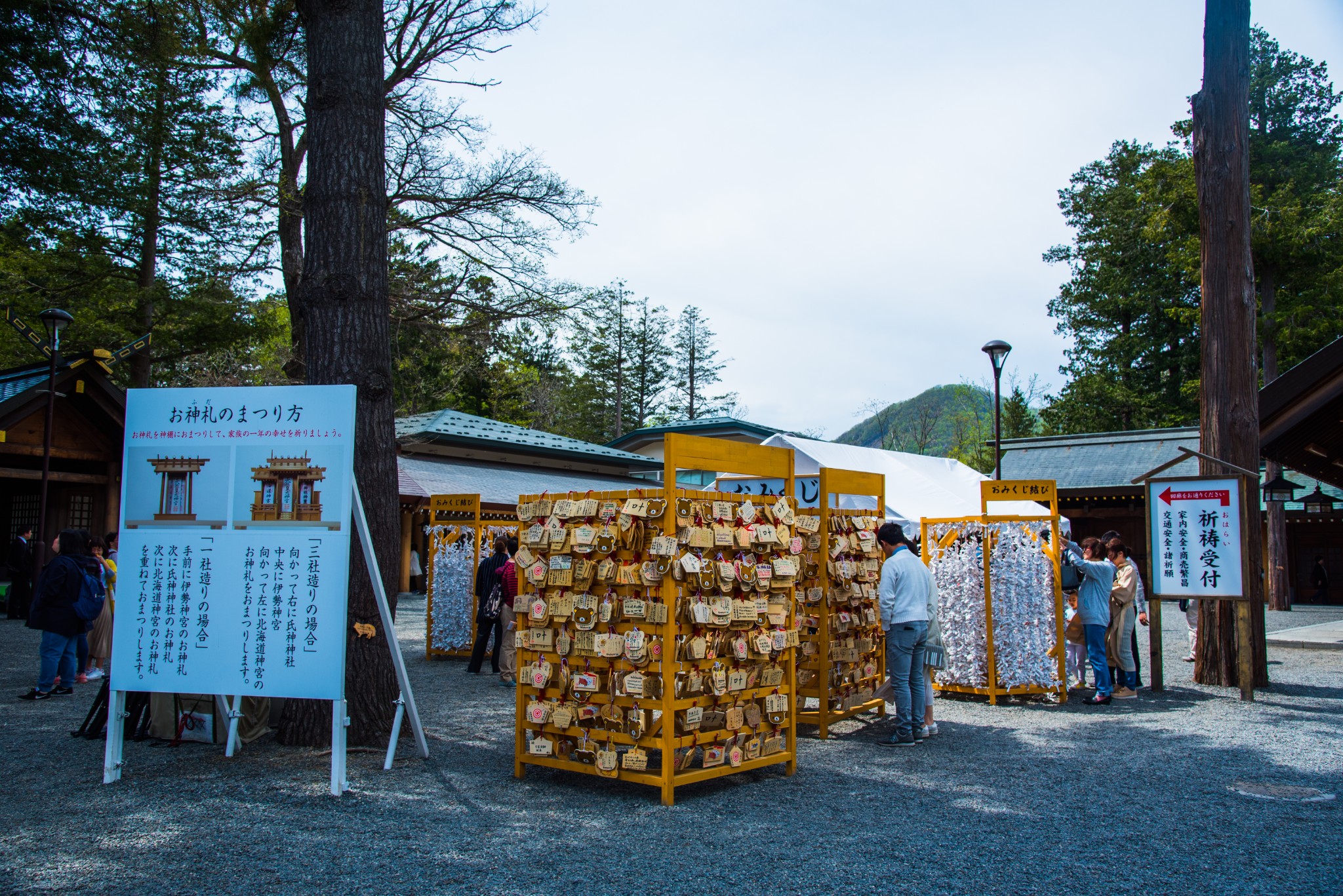 北海道自助遊攻略