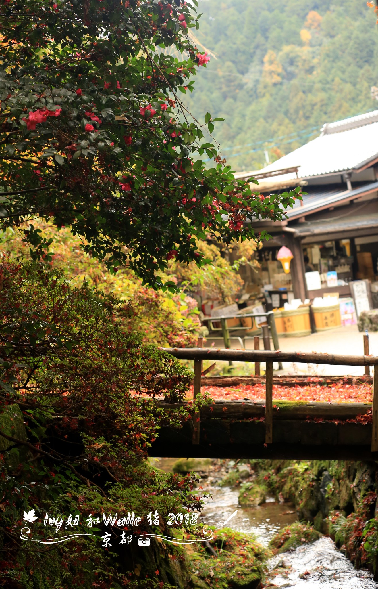 京都自助遊攻略