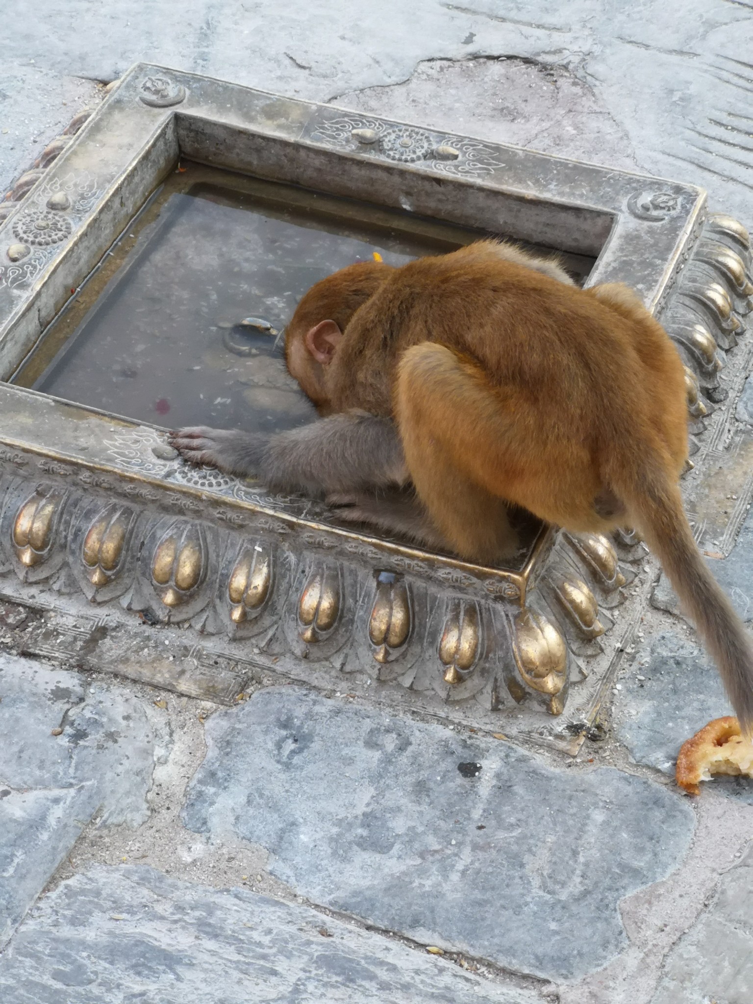 尼泊爾自助遊攻略