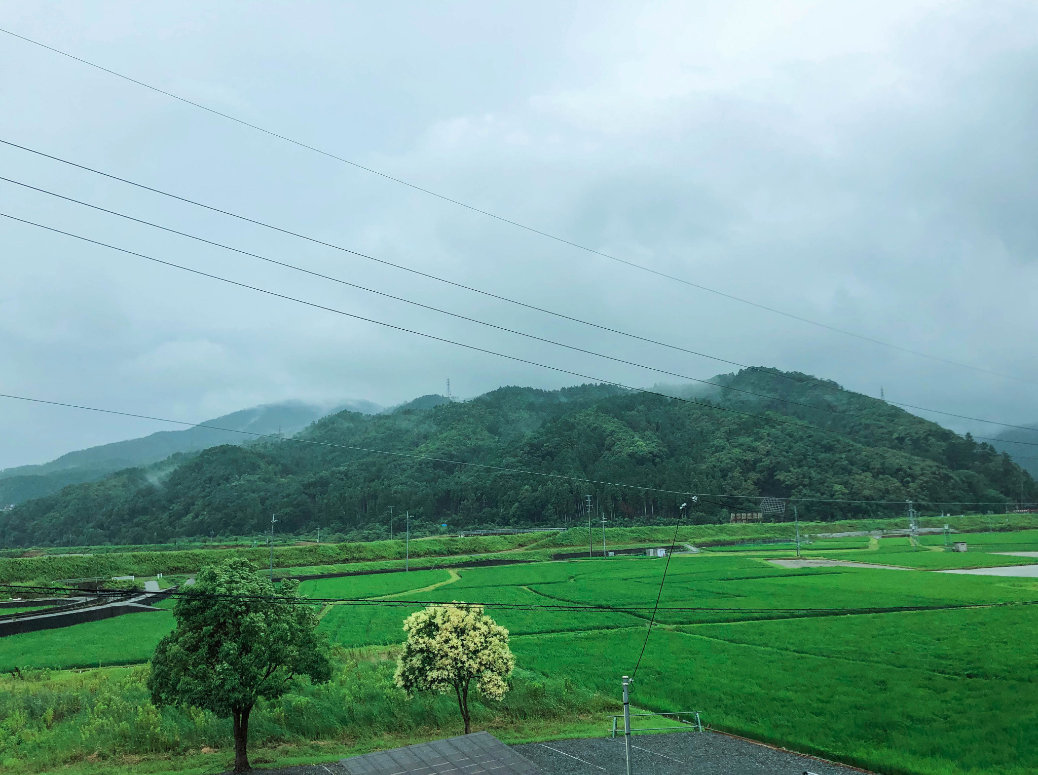 京都自助遊攻略