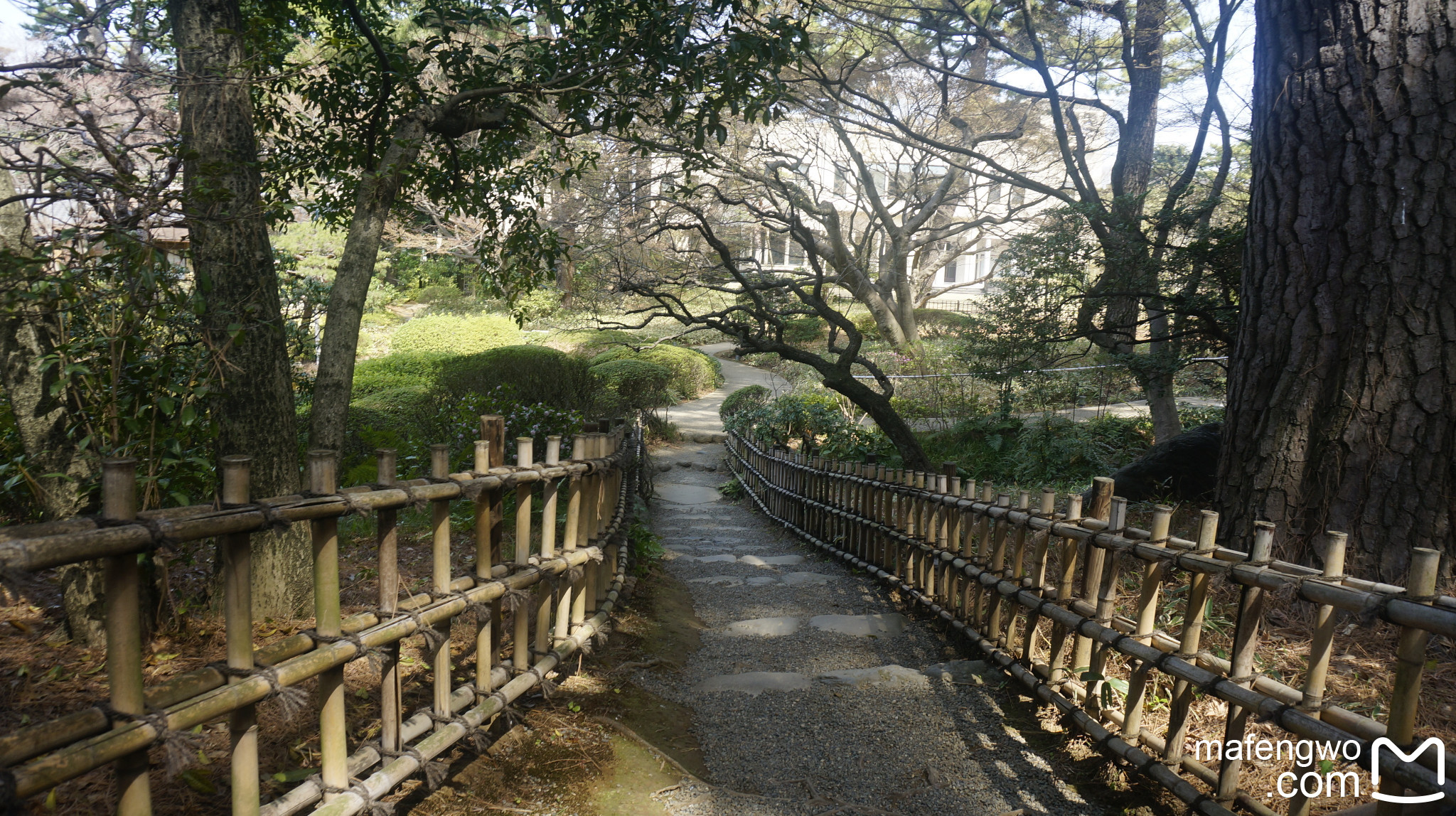 東京自助遊攻略