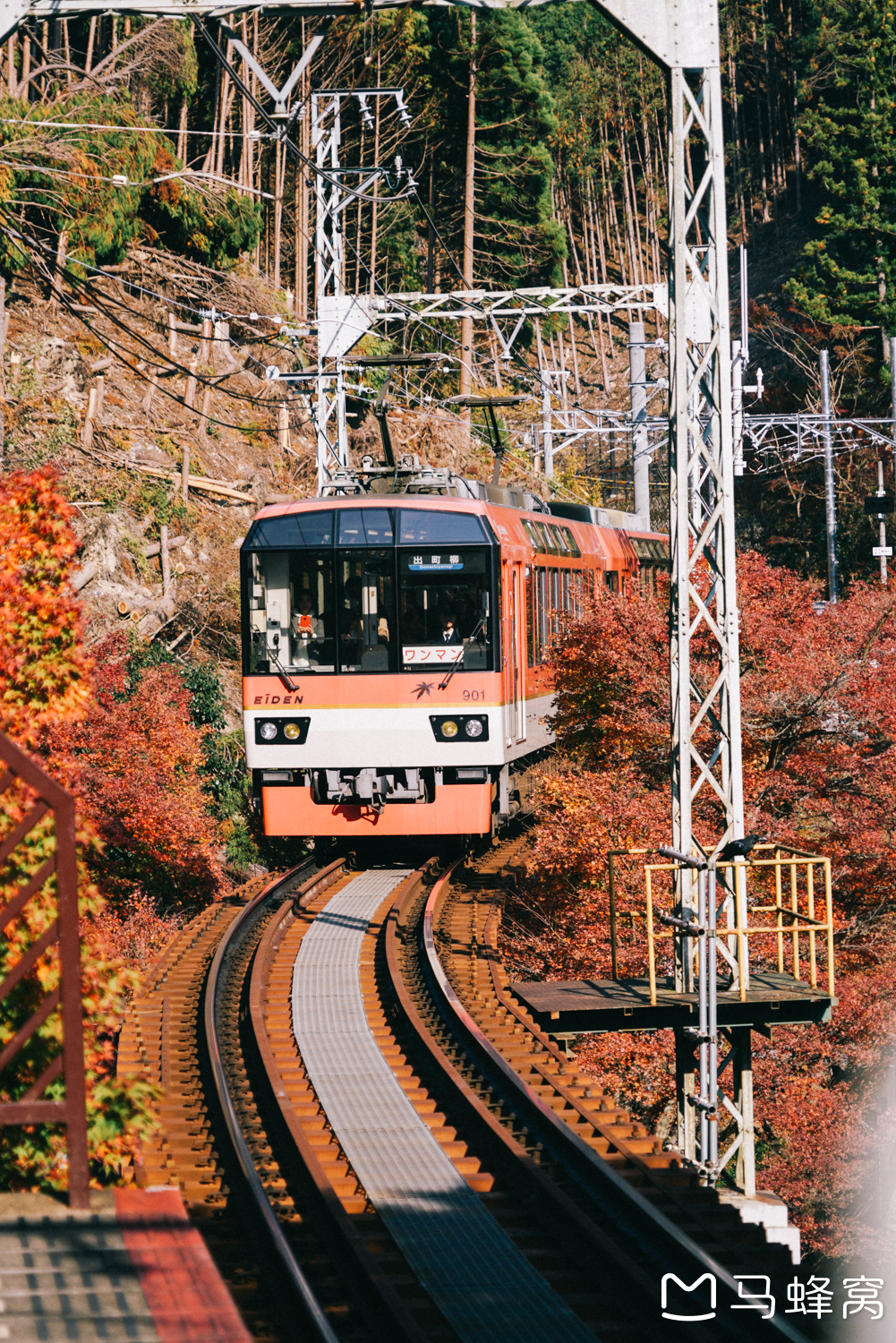 京都自助遊攻略