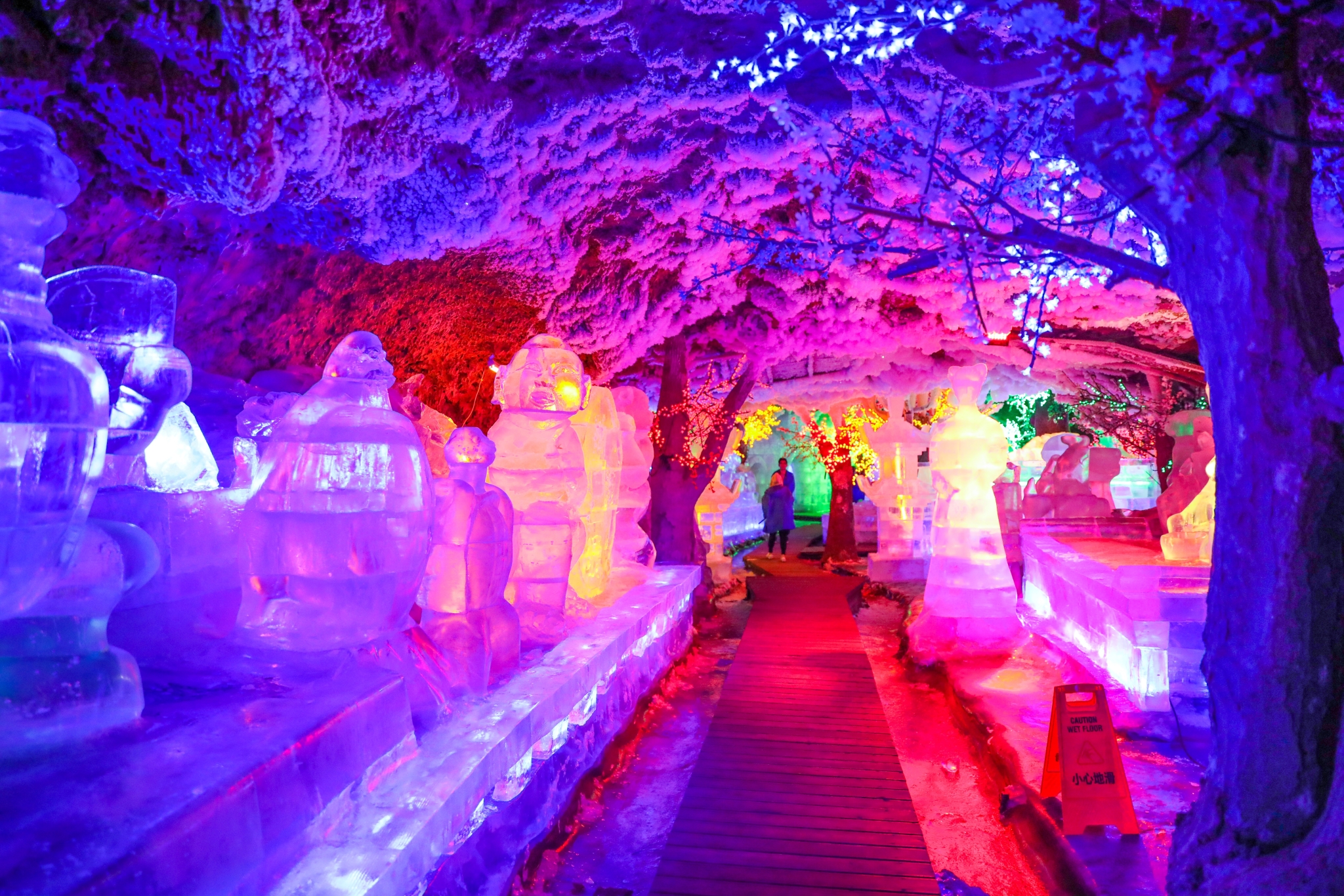 探秘中国最年轻的火山口——五大连池老黑山