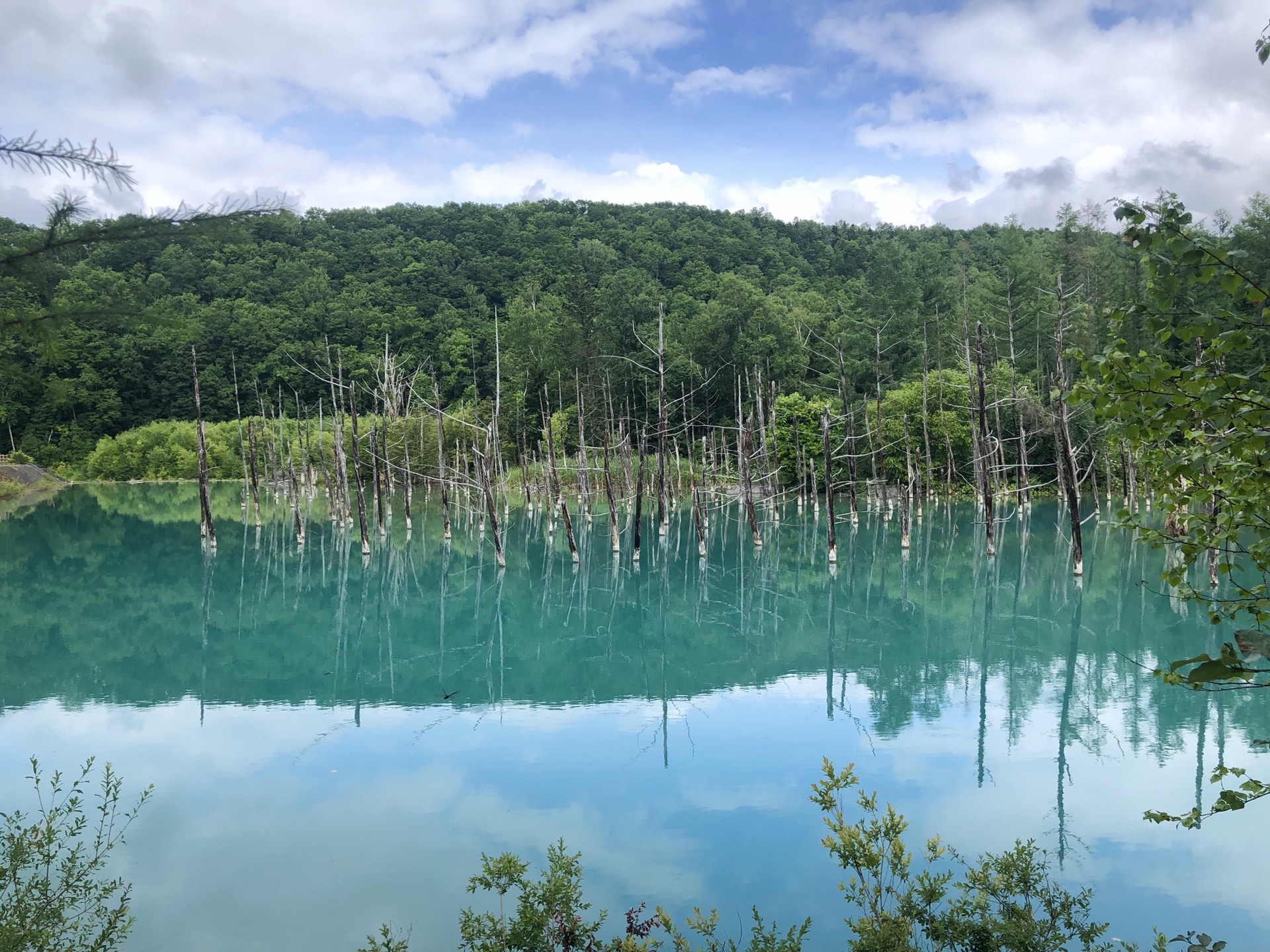 北海道自助遊攻略