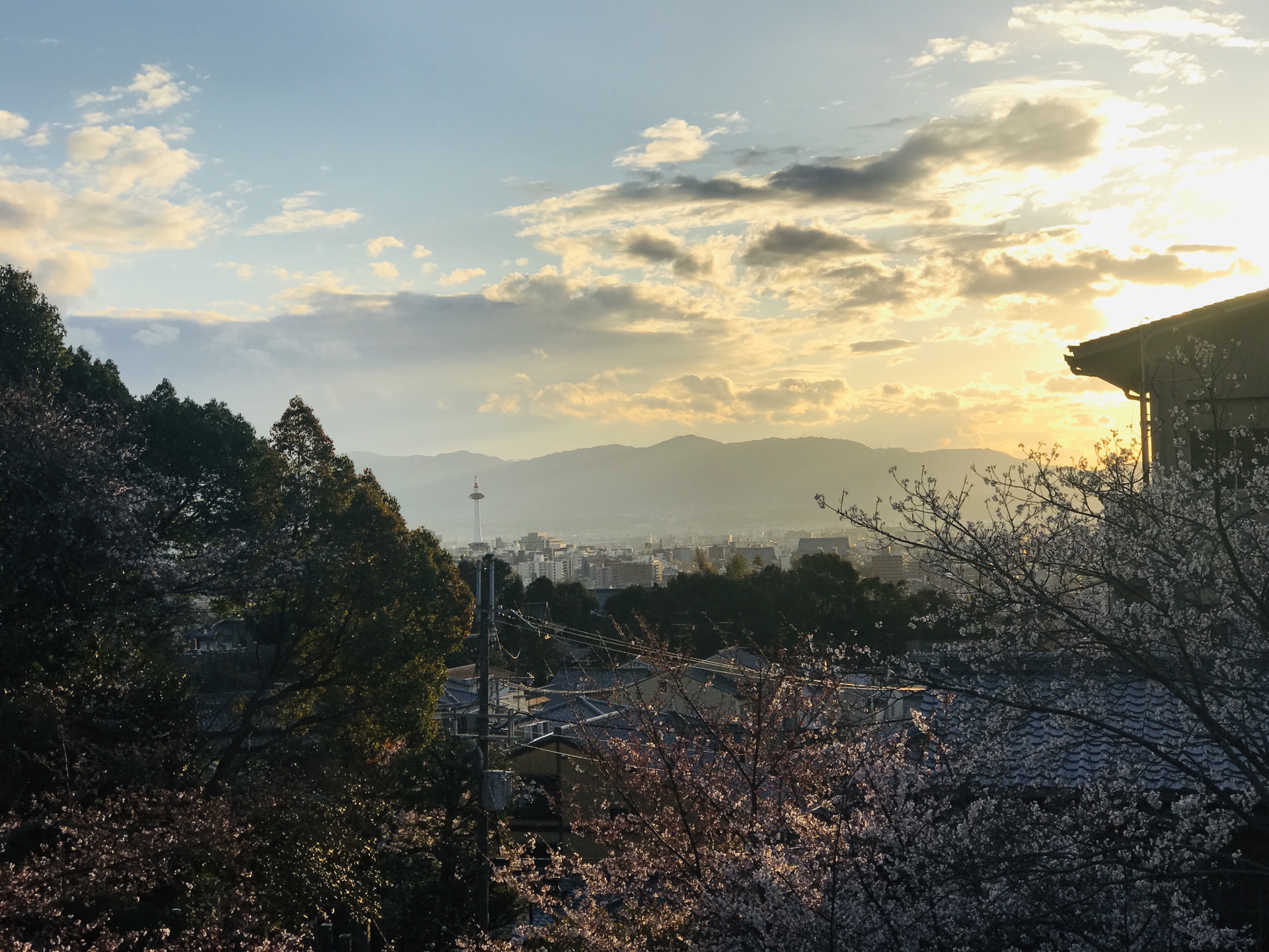 京都自助遊攻略