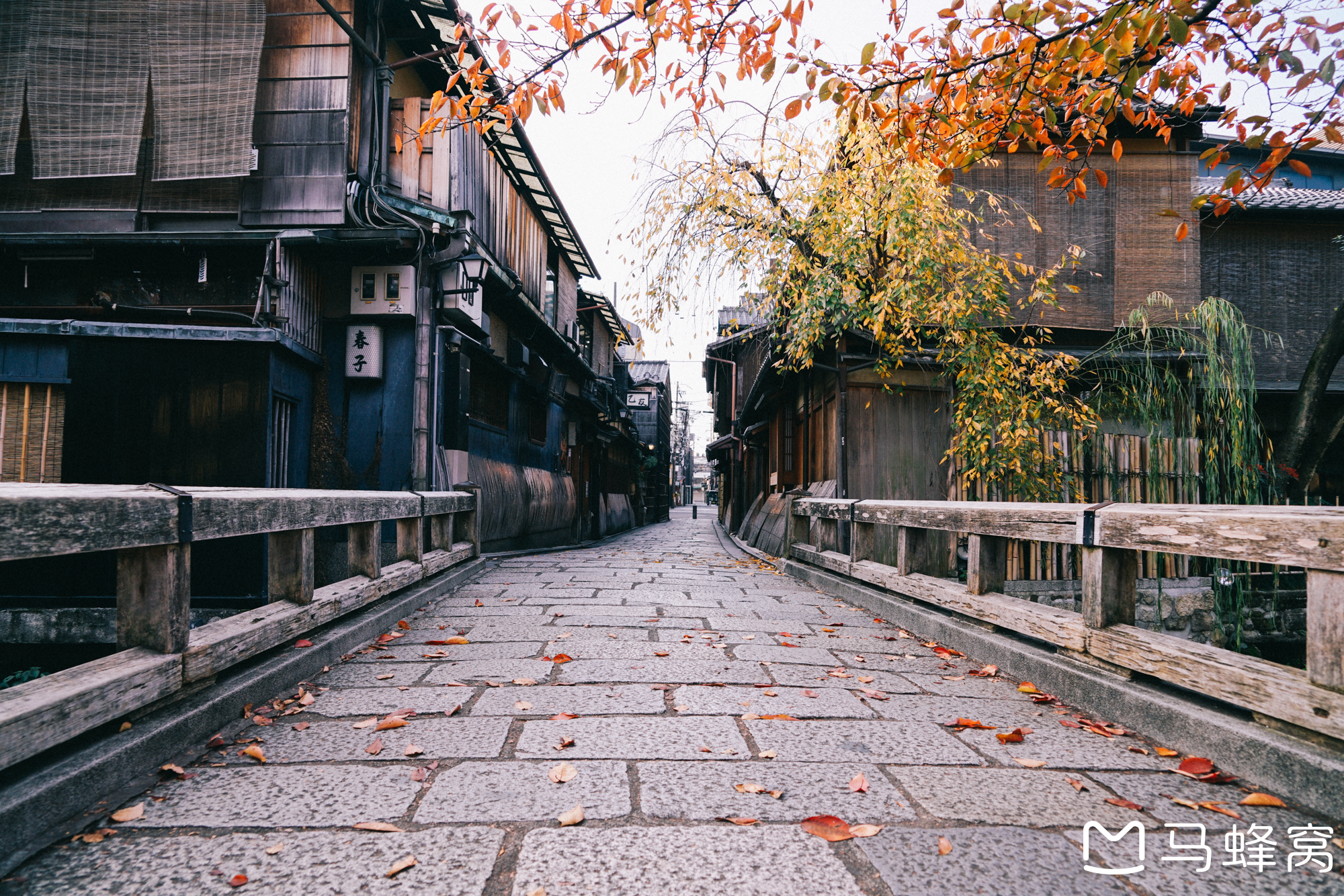 京都自助遊攻略