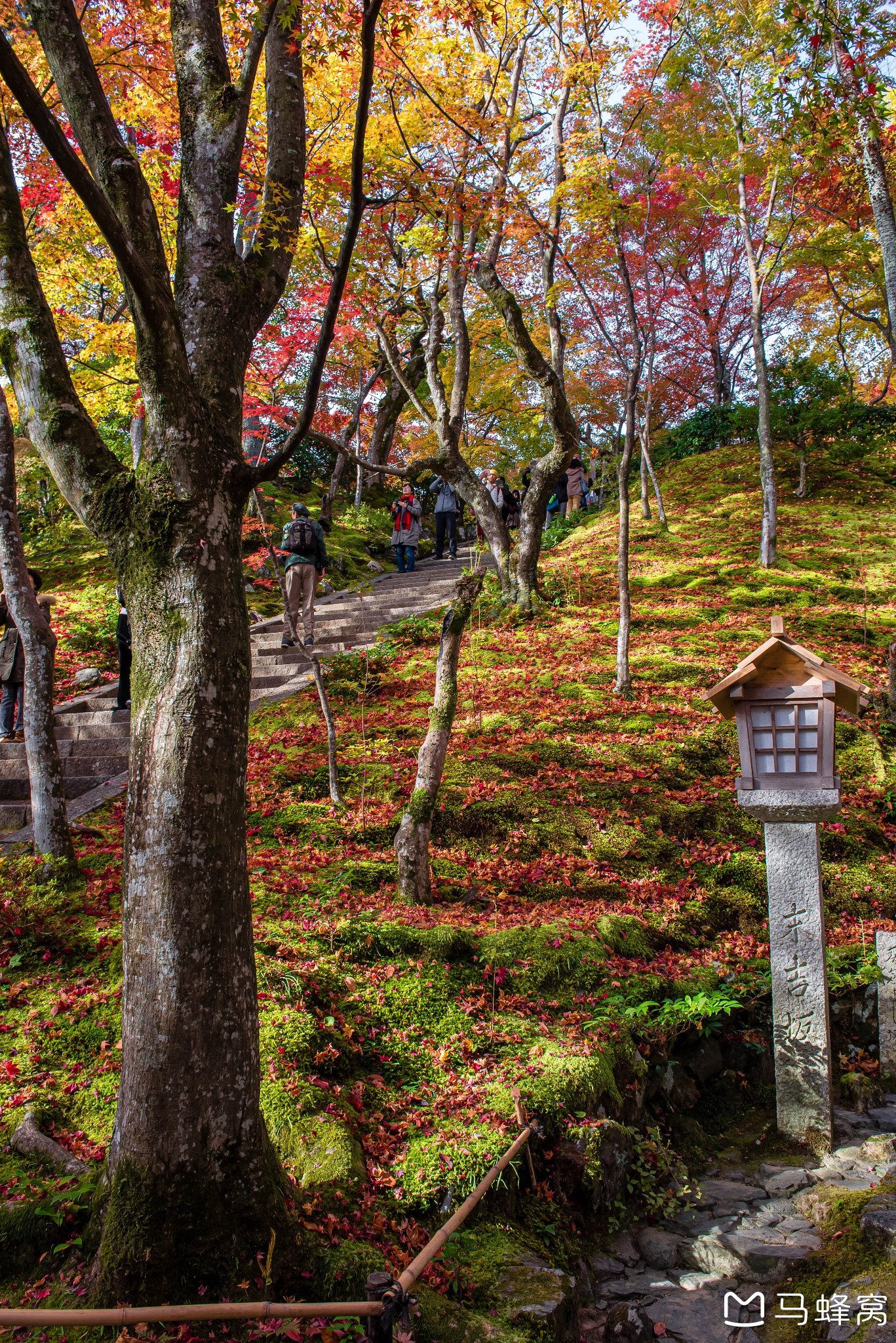 京都自助遊攻略