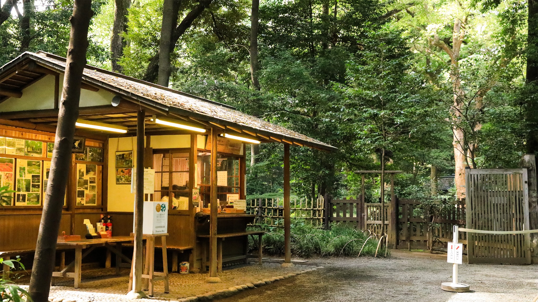 東京自助遊攻略