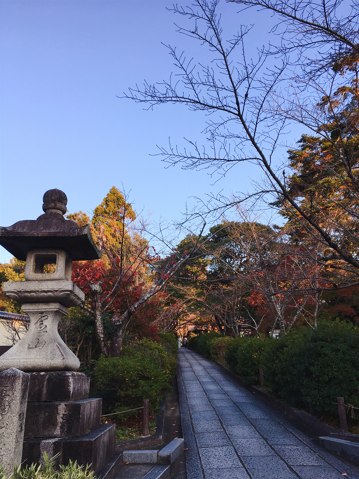 京都自助遊攻略