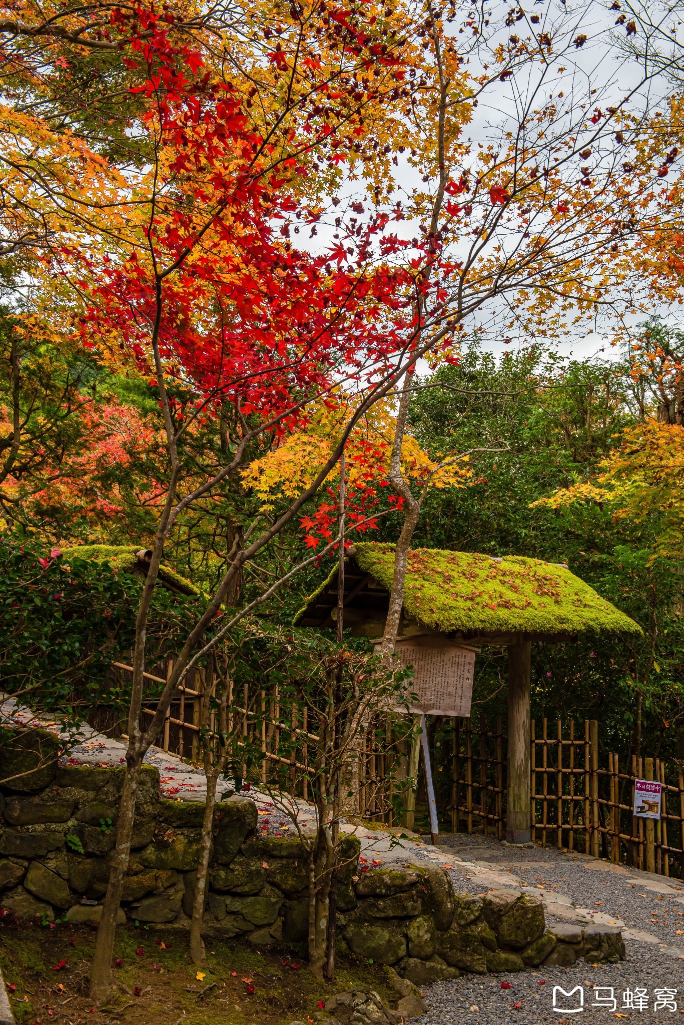 京都自助遊攻略