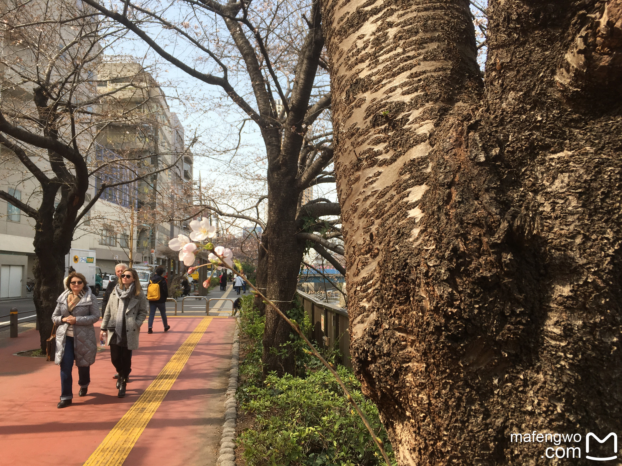 東京自助遊攻略