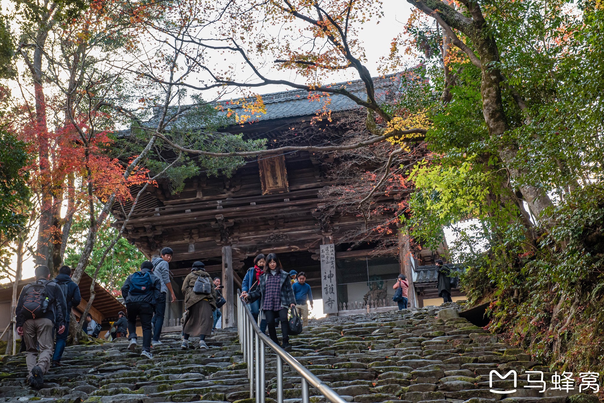 京都自助遊攻略