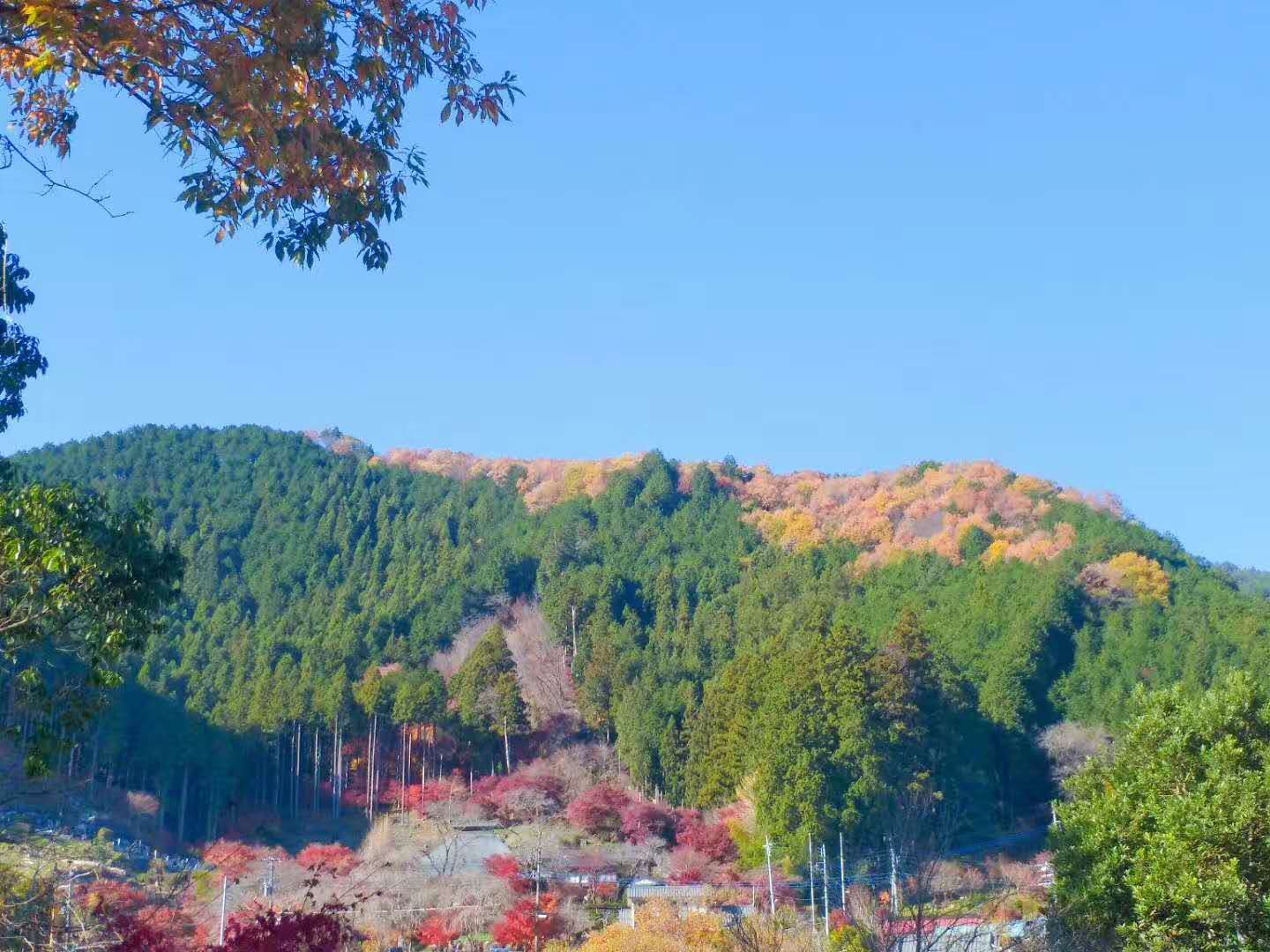 東京自助遊攻略