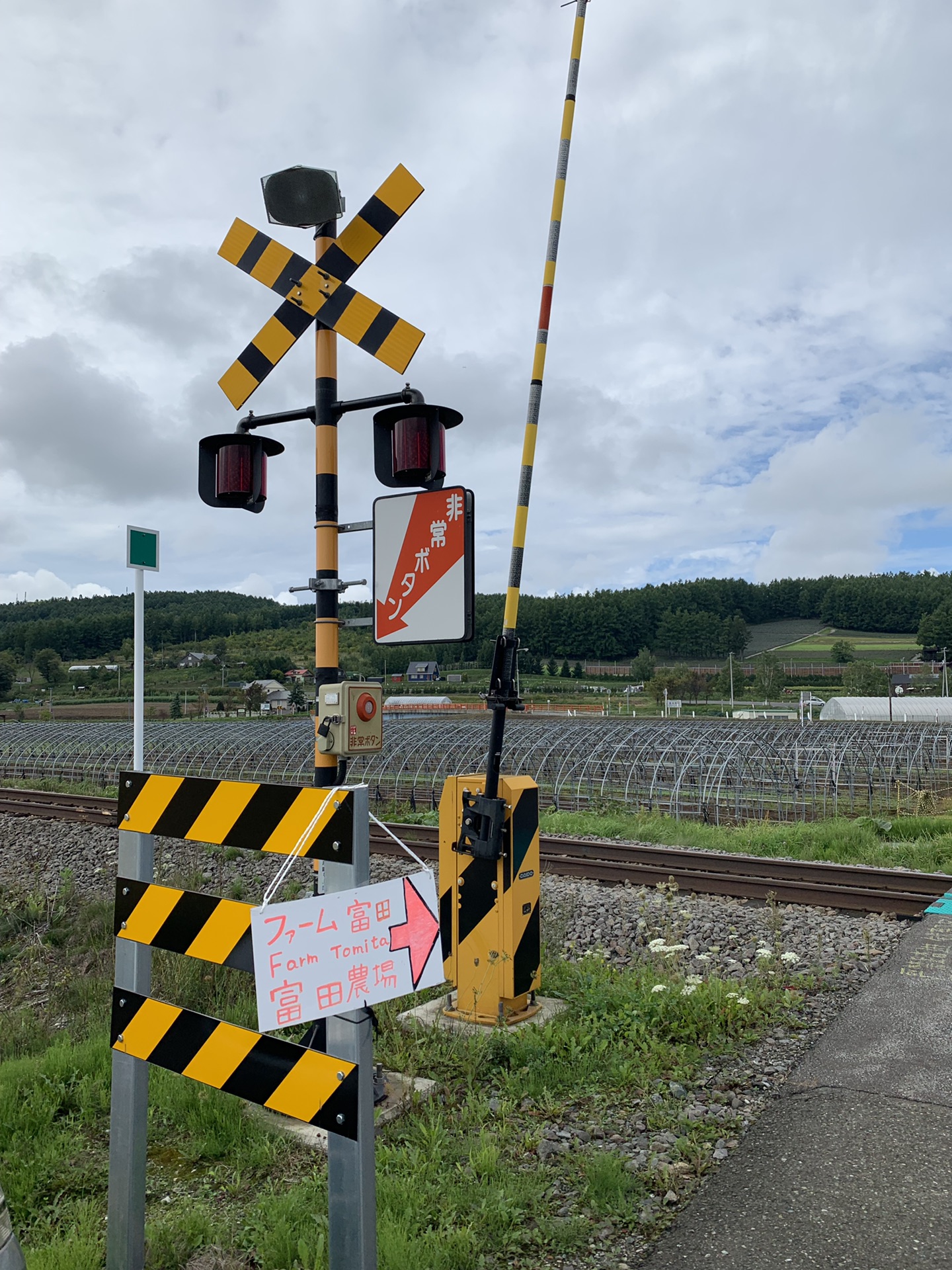 北海道自助遊攻略