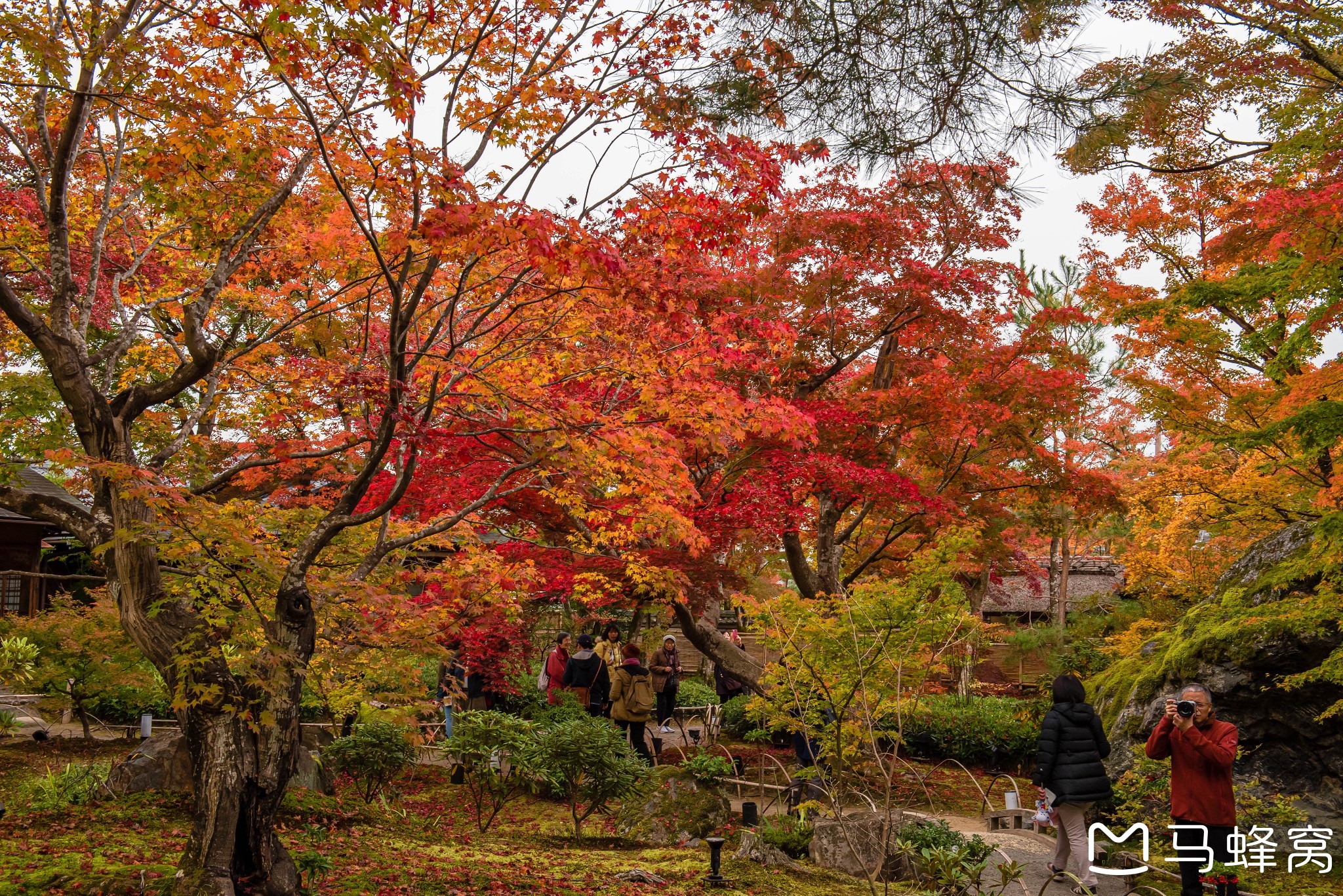 京都自助遊攻略