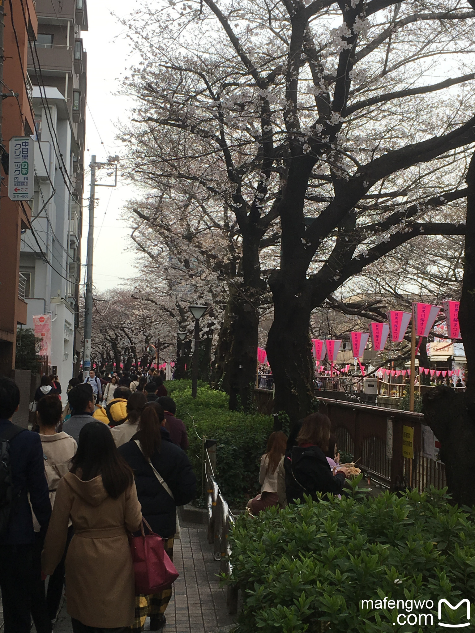 東京自助遊攻略