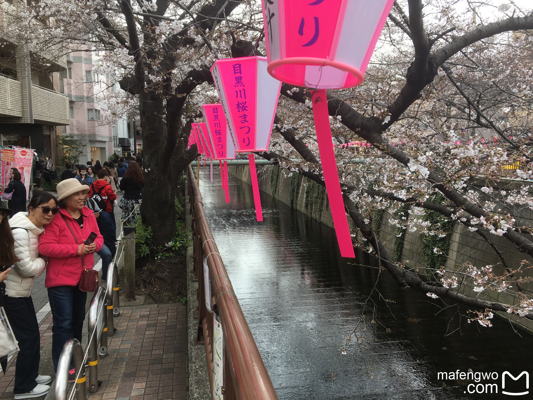 東京自助遊攻略