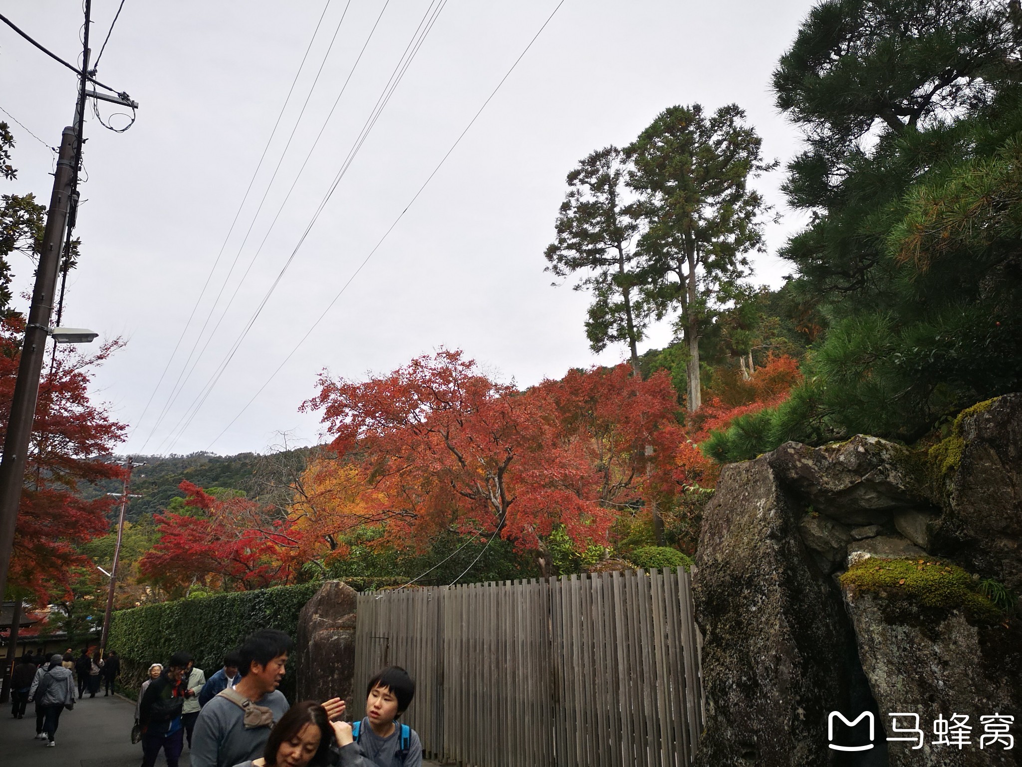 京都自助遊攻略