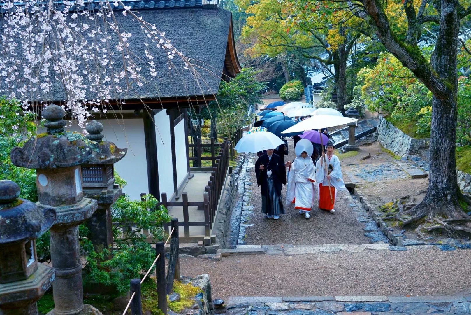 京都自助遊攻略