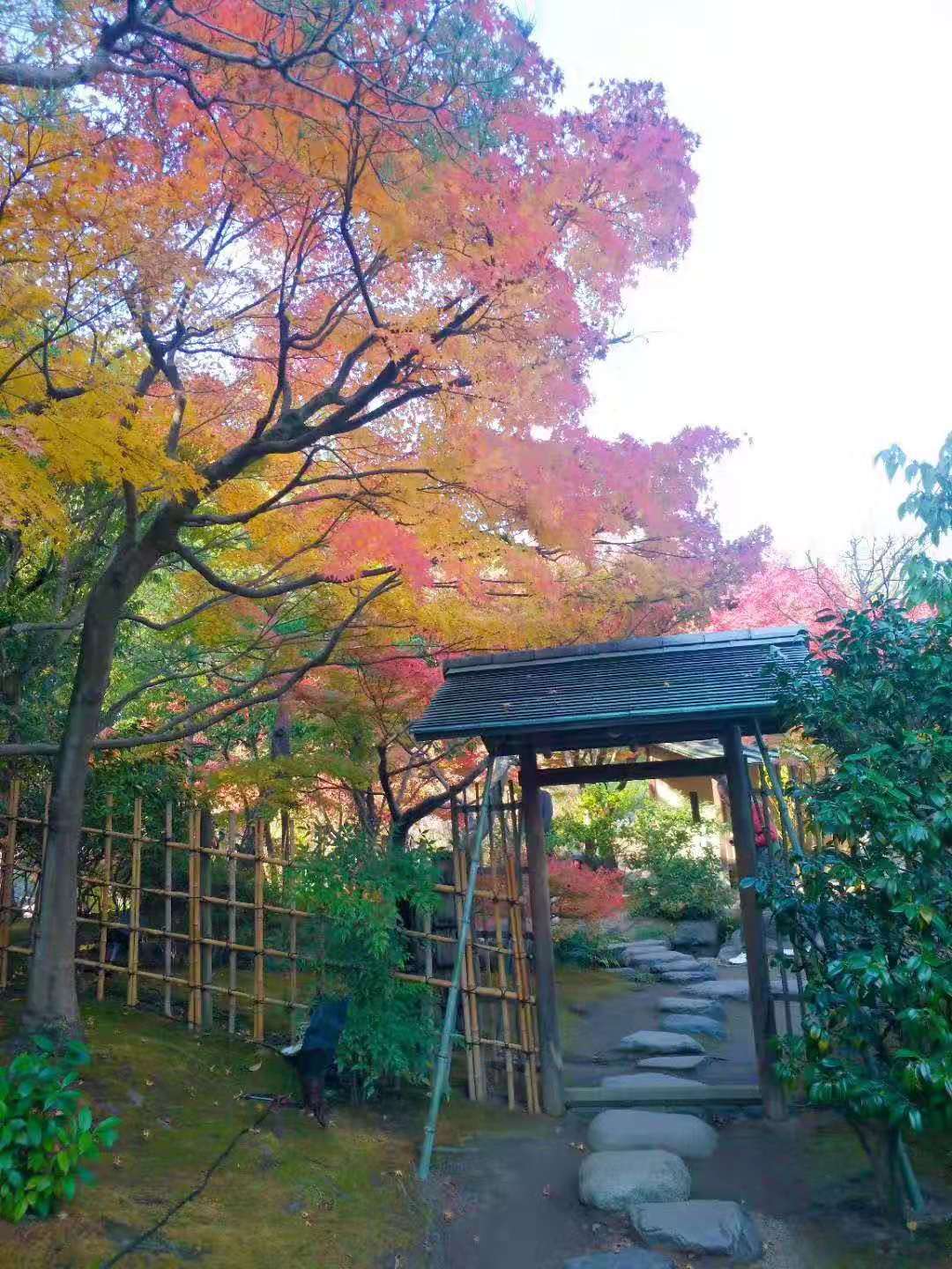 名古屋自助遊攻略