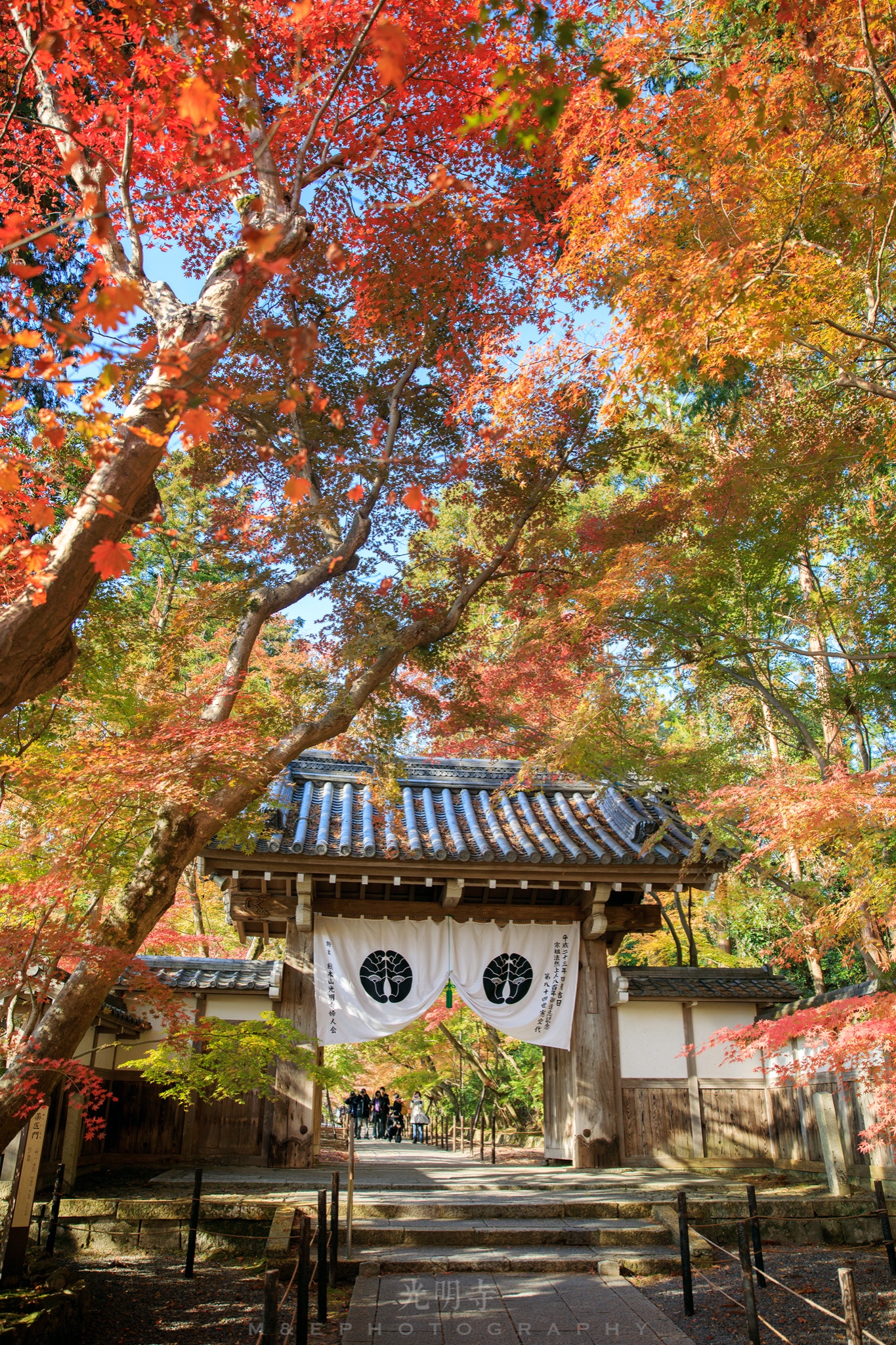 京都自助遊攻略