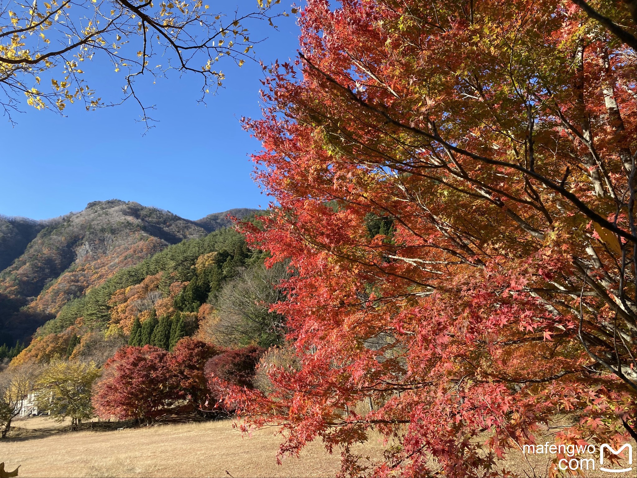 富士山自助遊攻略