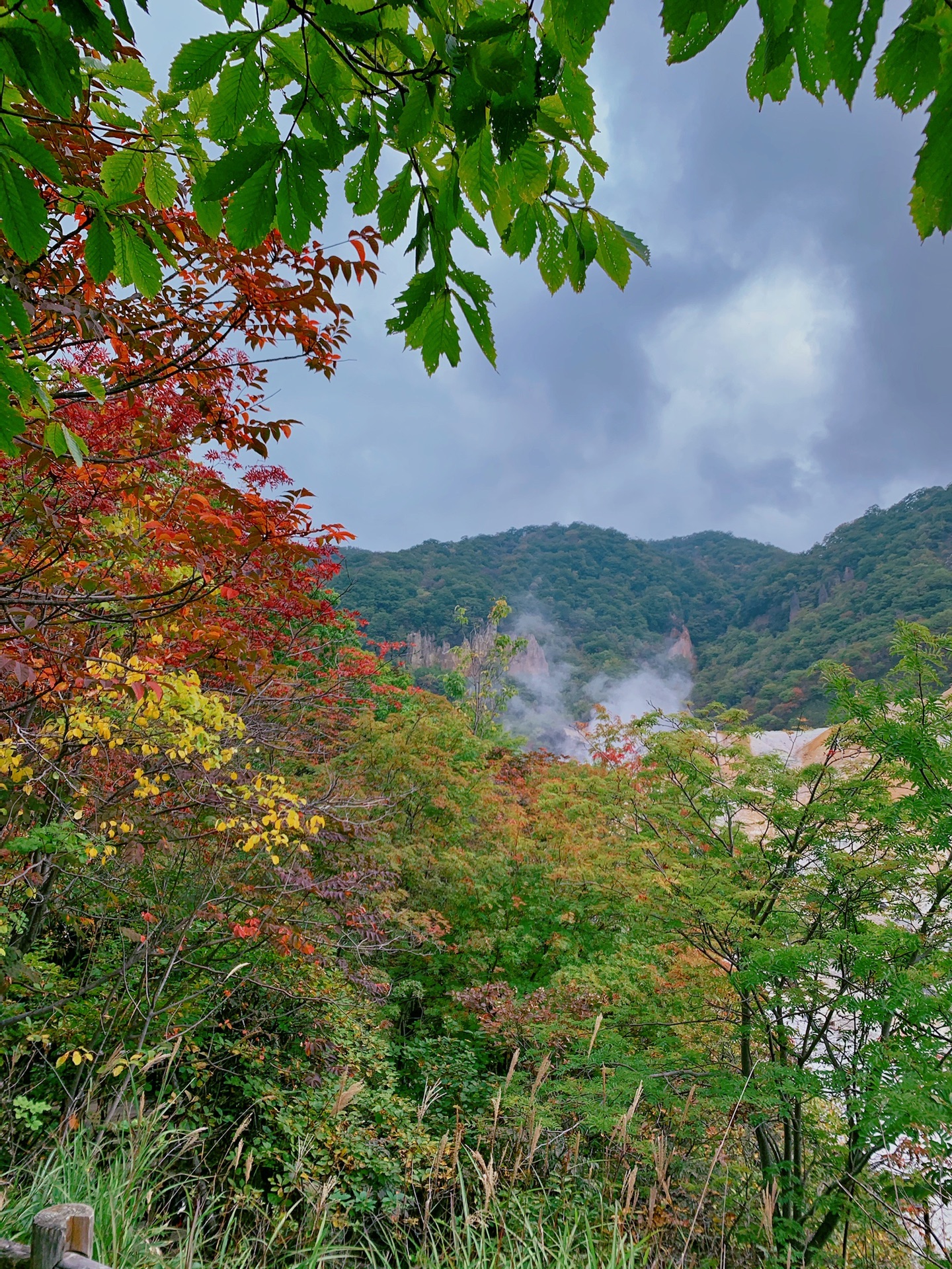 北海道自助遊攻略