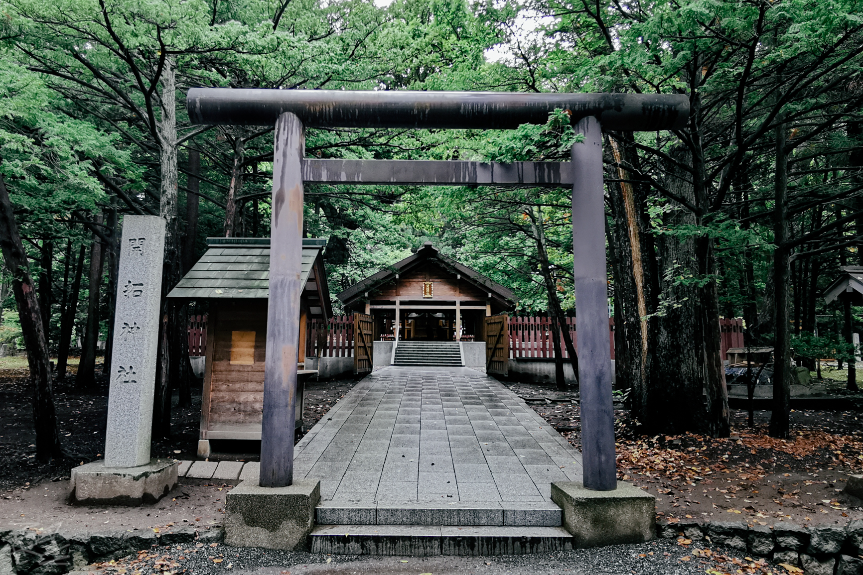 北海道自助遊攻略