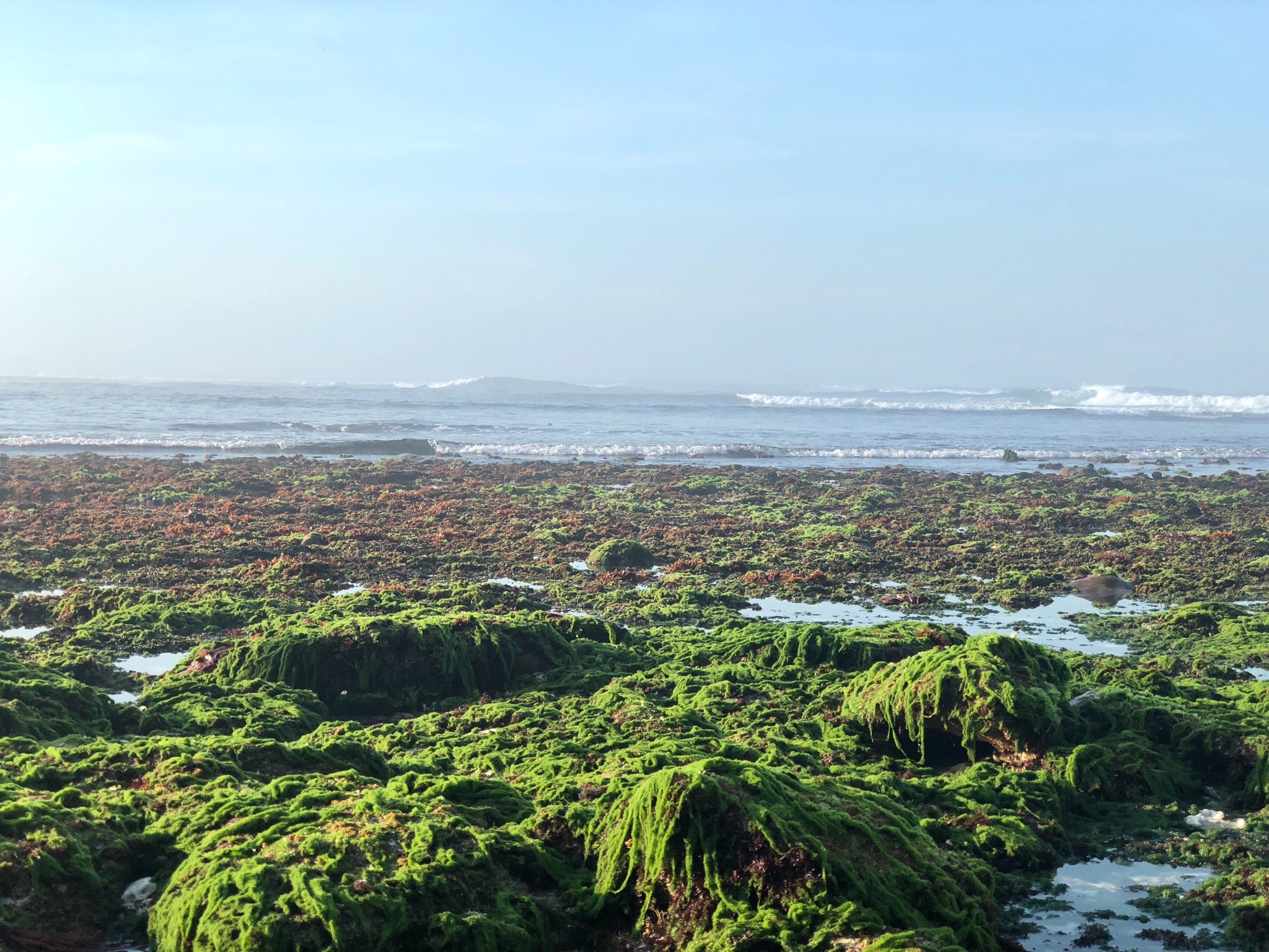 巴釐島自助遊攻略