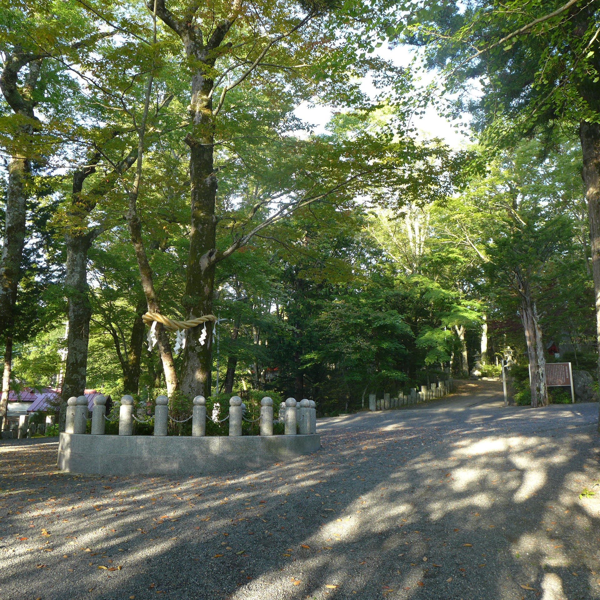 東京自助遊攻略