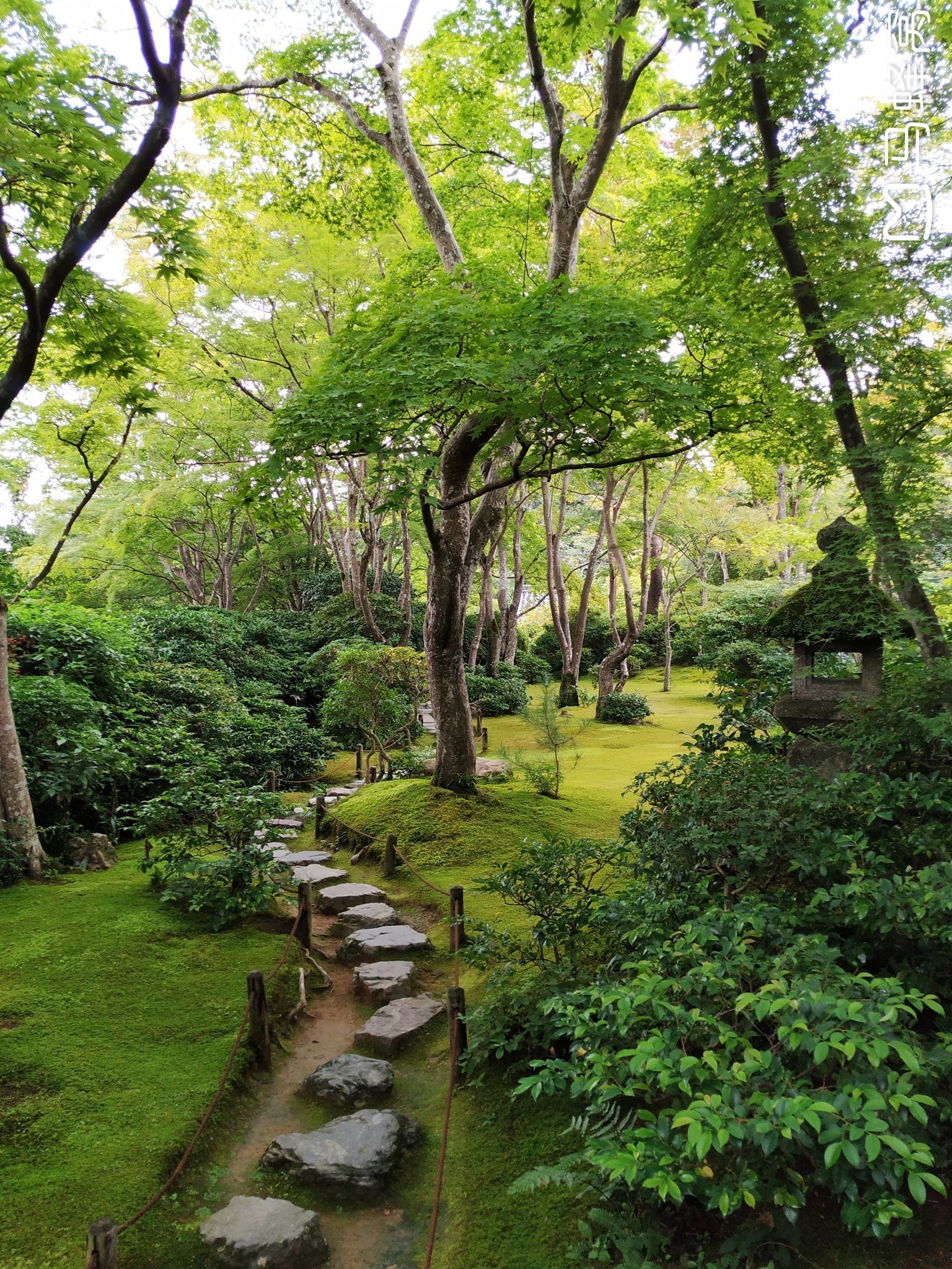 京都自助遊攻略