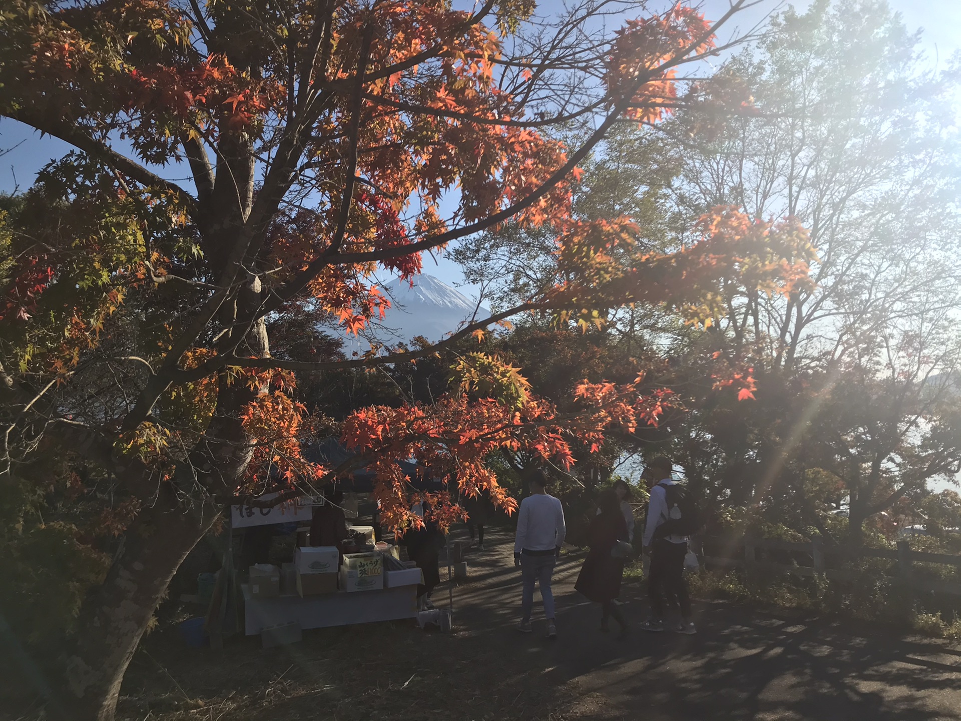 東京自助遊攻略