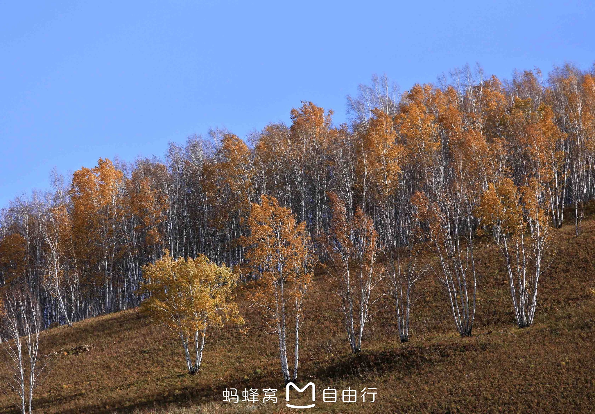 恩河镇人口_人口普查
