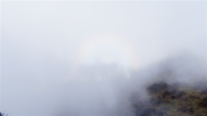 wKgBtE-Ws9_fMKdmAAA59bzJSUE85.jpeg?imageView2%2F2%2Fw%2F600%2Fq%2F90