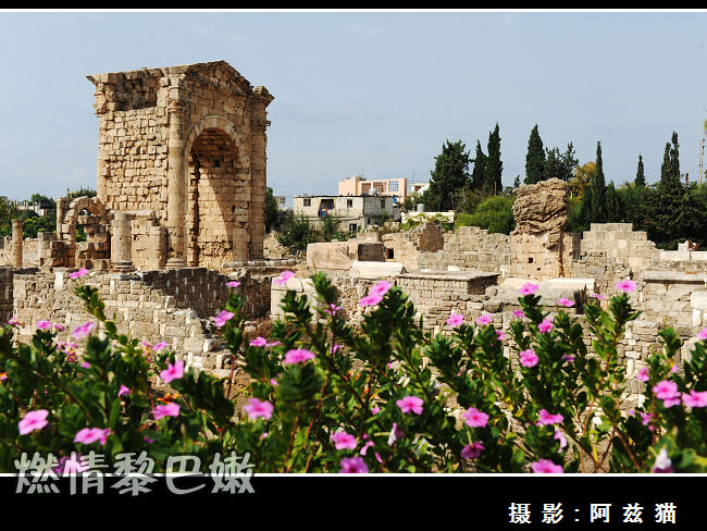 紫色颜料的诞生地-黎巴嫩提尔